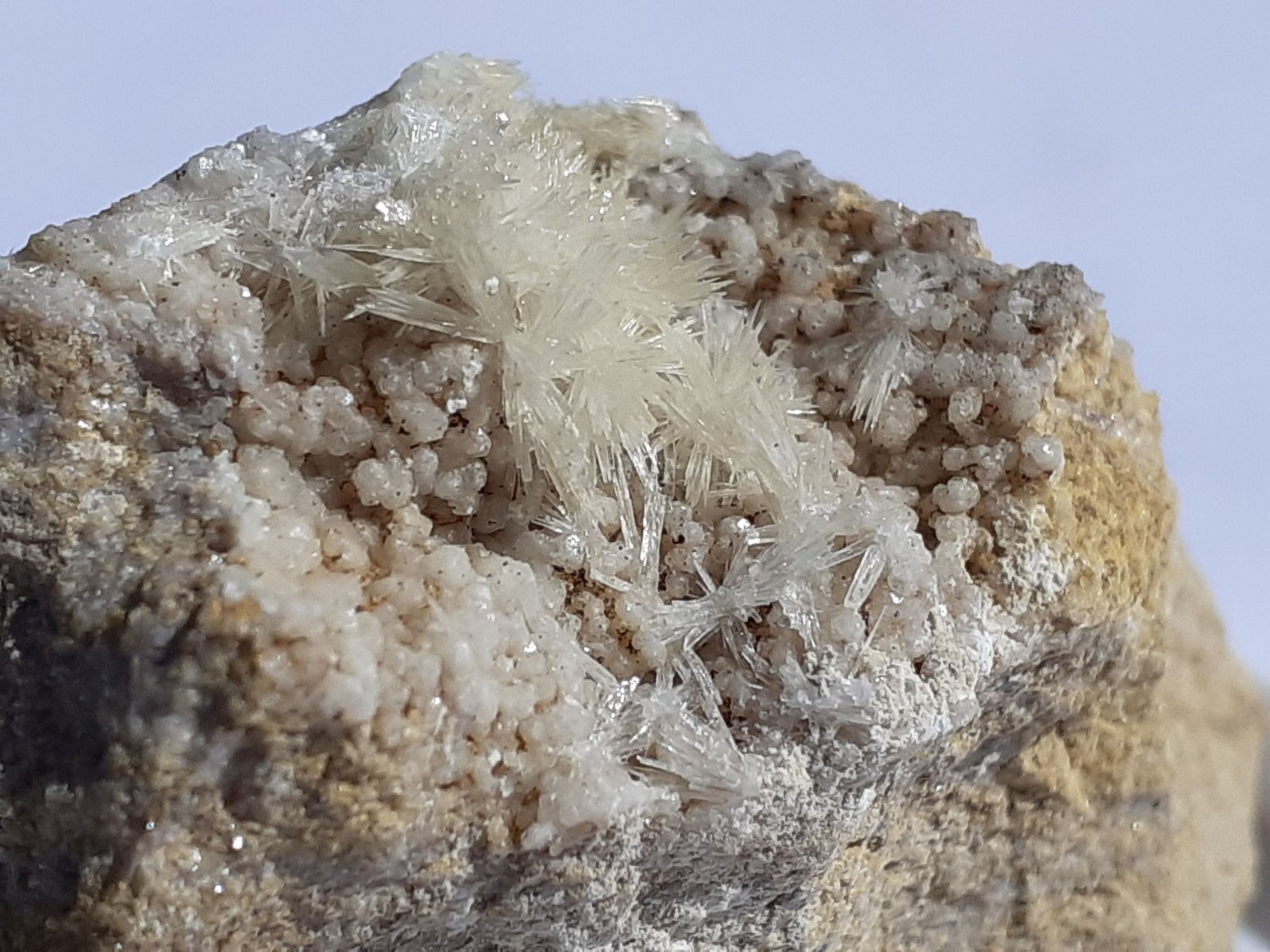 Aragonite, Calcite
4,5 x 3 cm
(Autor: Volkmar Stingl)