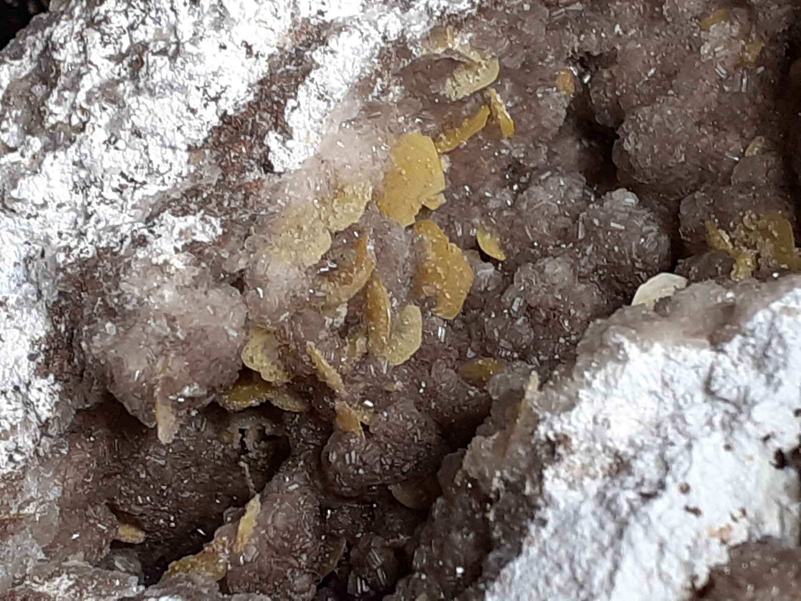Wulfenite, Smithsonite, Hydrozincite
11 x 8 cm
(Autor: Volkmar Stingl)