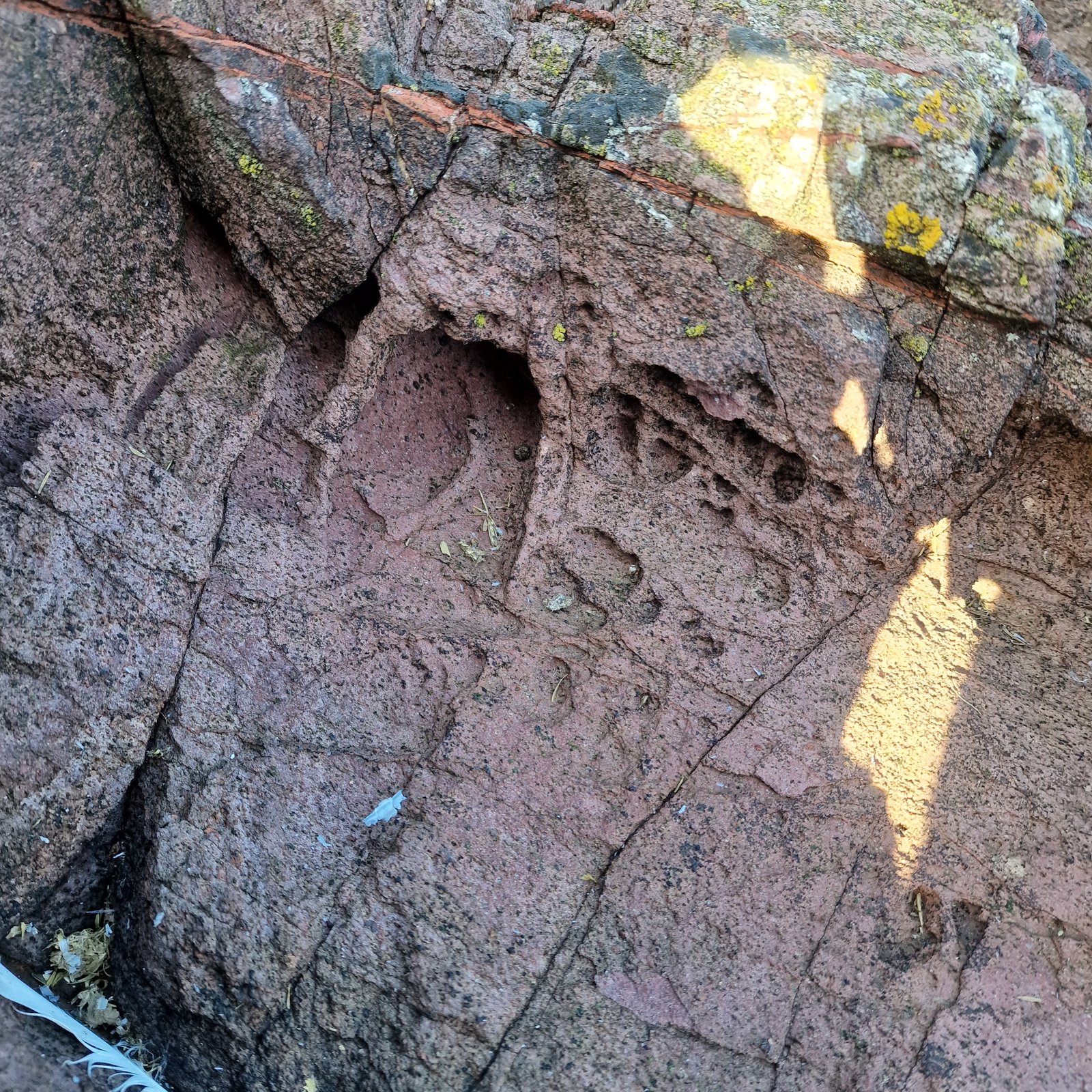 Andesite
(Autor: Forrestblyth)