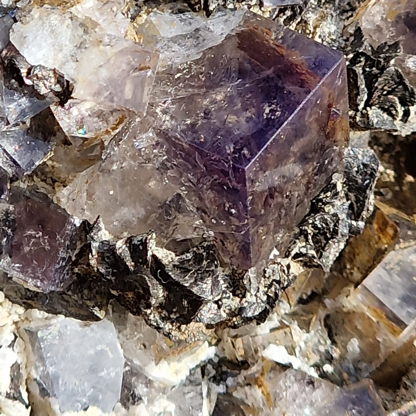 Fluorite
5cm
(Autor: Forrestblyth)