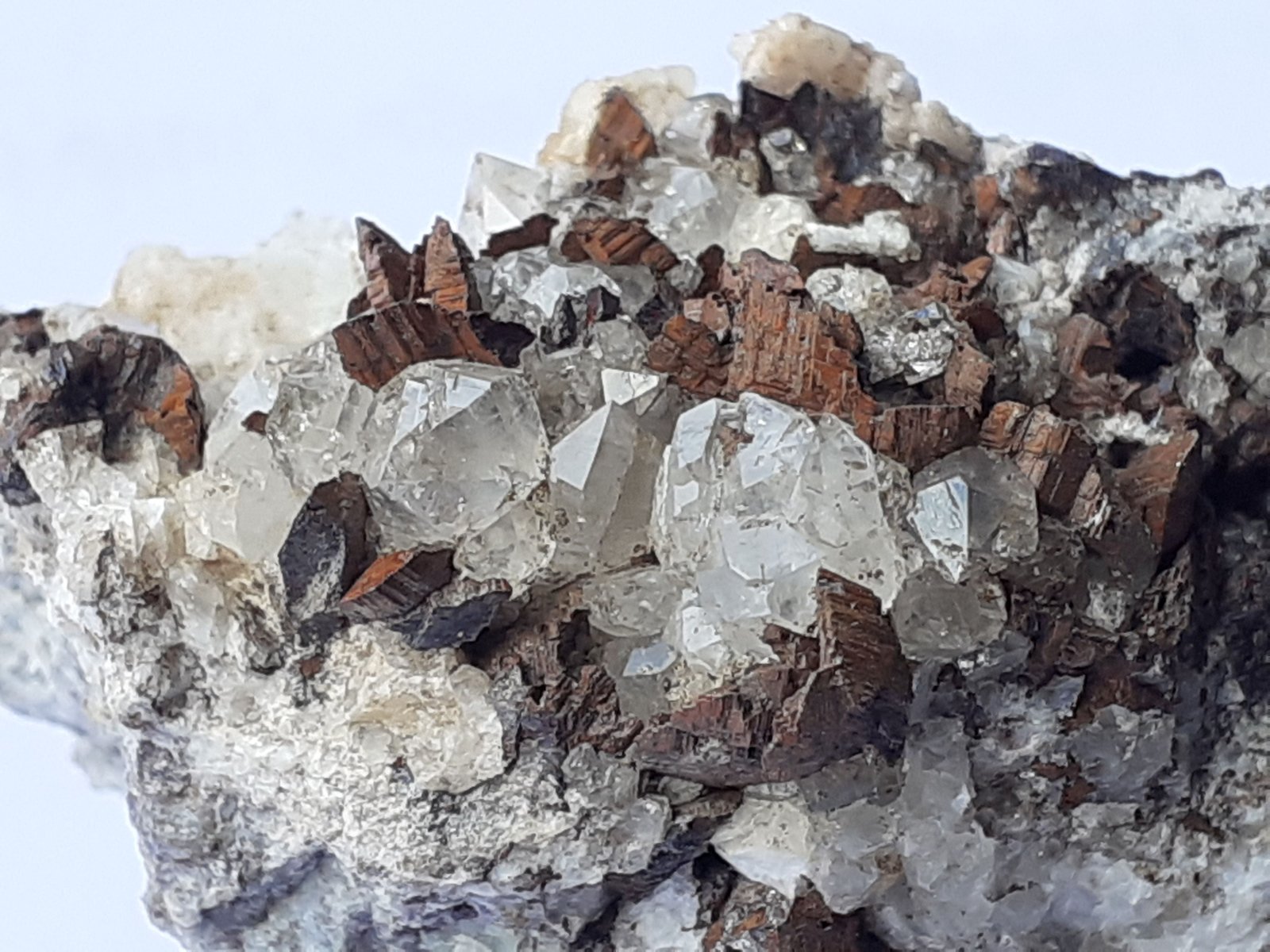 Siderite, Quartz
5 x 3,5 cm
(Autor: Volkmar Stingl)