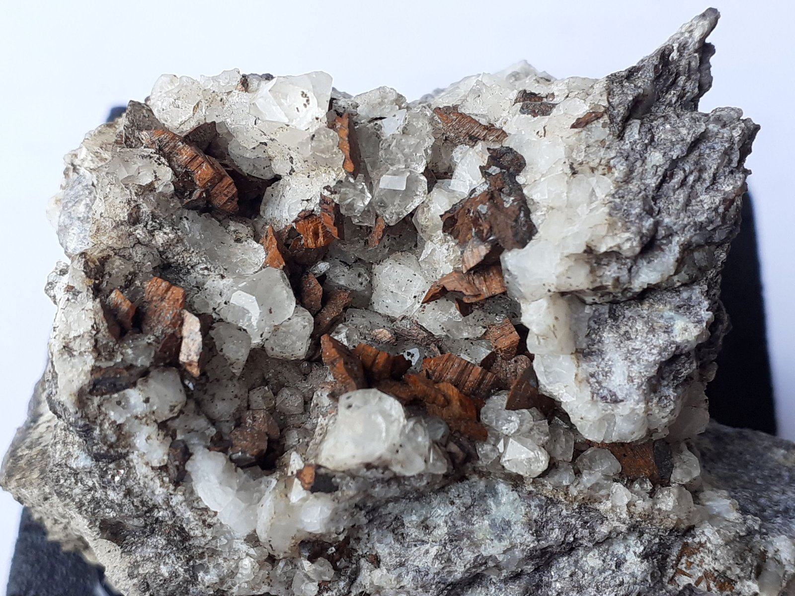 Siderite, Quartz
4,5 x 4 cm
(Autor: Volkmar Stingl)