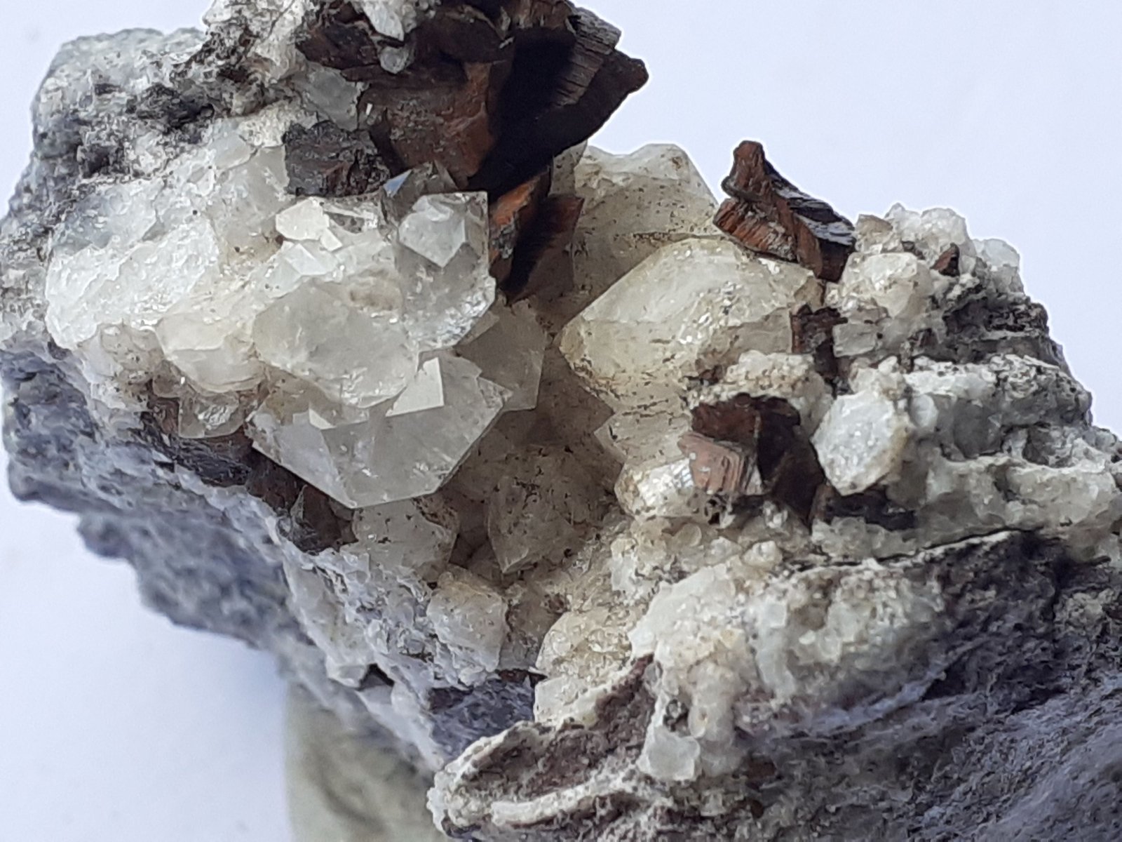 Quartz, Siderite
4,5 x 3,5 cm
(Autor: Volkmar Stingl)