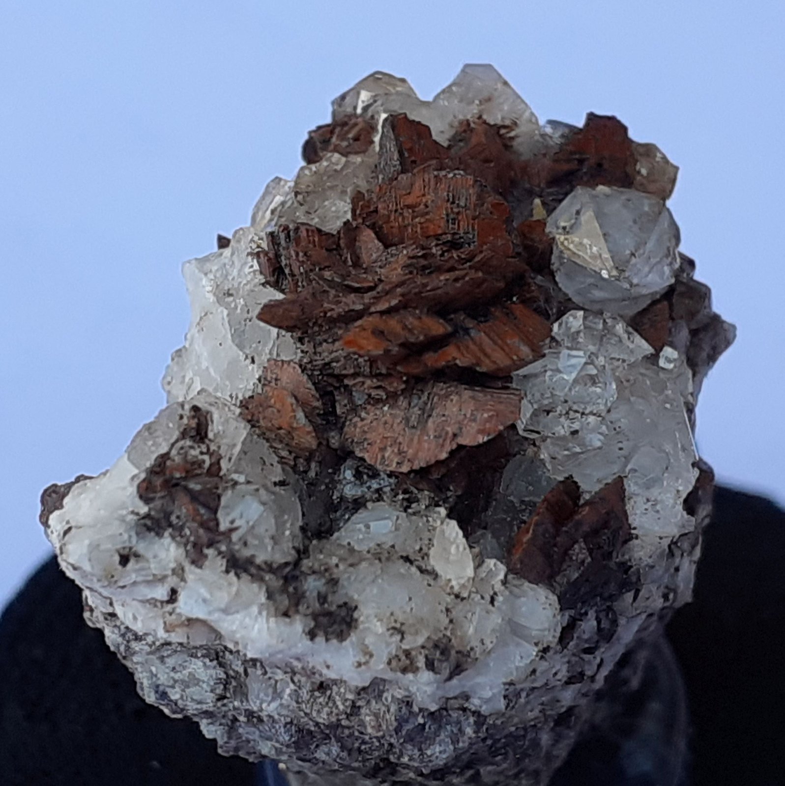 Siderite, Quartz
2 x 2 cm
(Autor: Volkmar Stingl)