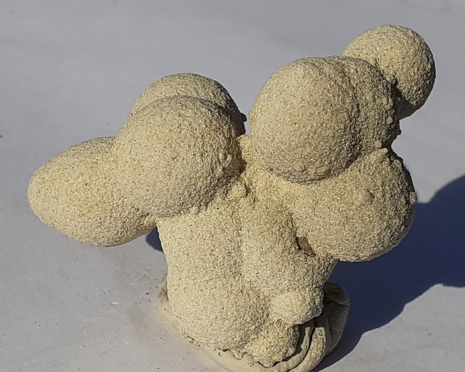 Calcite (variety sand-calcite)
5 x 3,5 cm
(Autor: Volkmar Stingl)