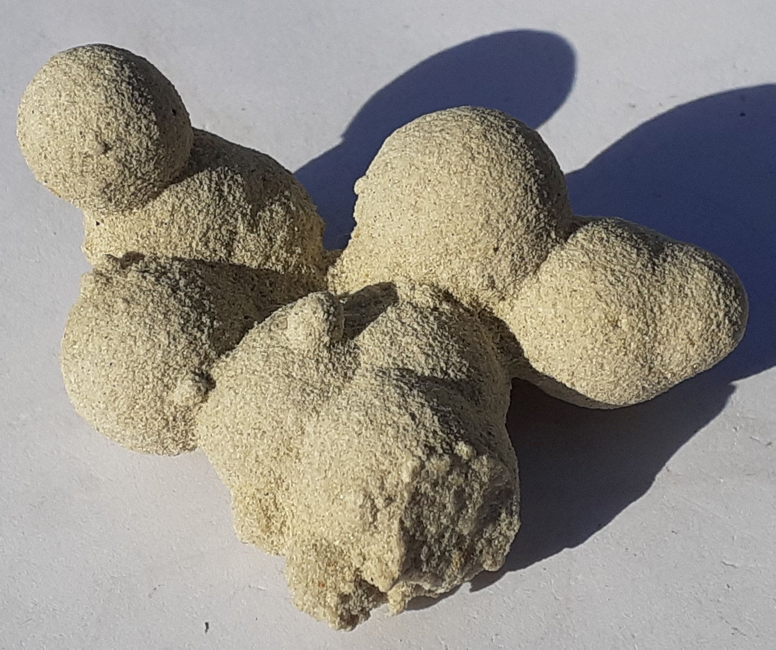 Calcite (variety sand-calcite)
5 x 3,5 cm
(Autor: Volkmar Stingl)