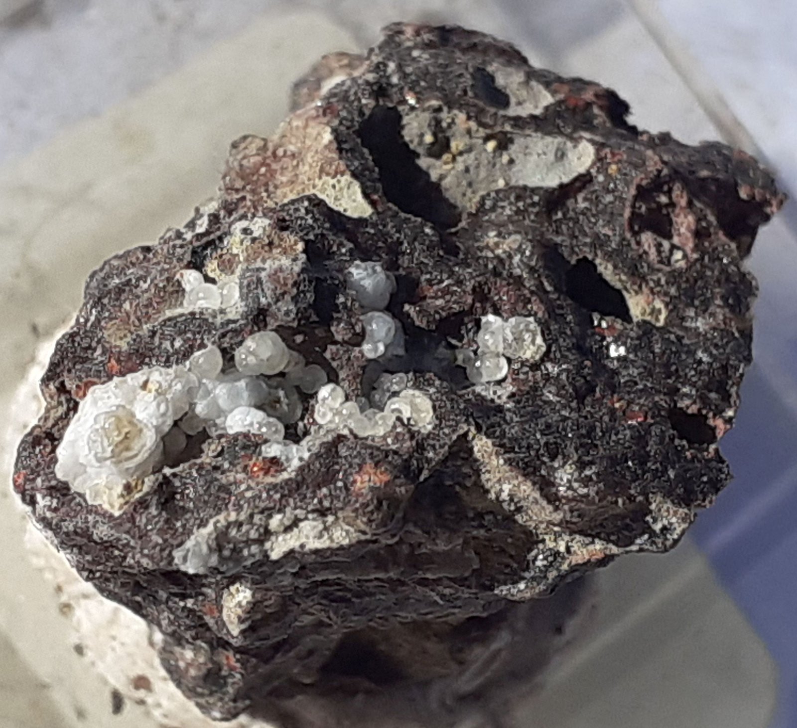 Opal
1,7 x 1,5 cm
(Autor: Volkmar Stingl)