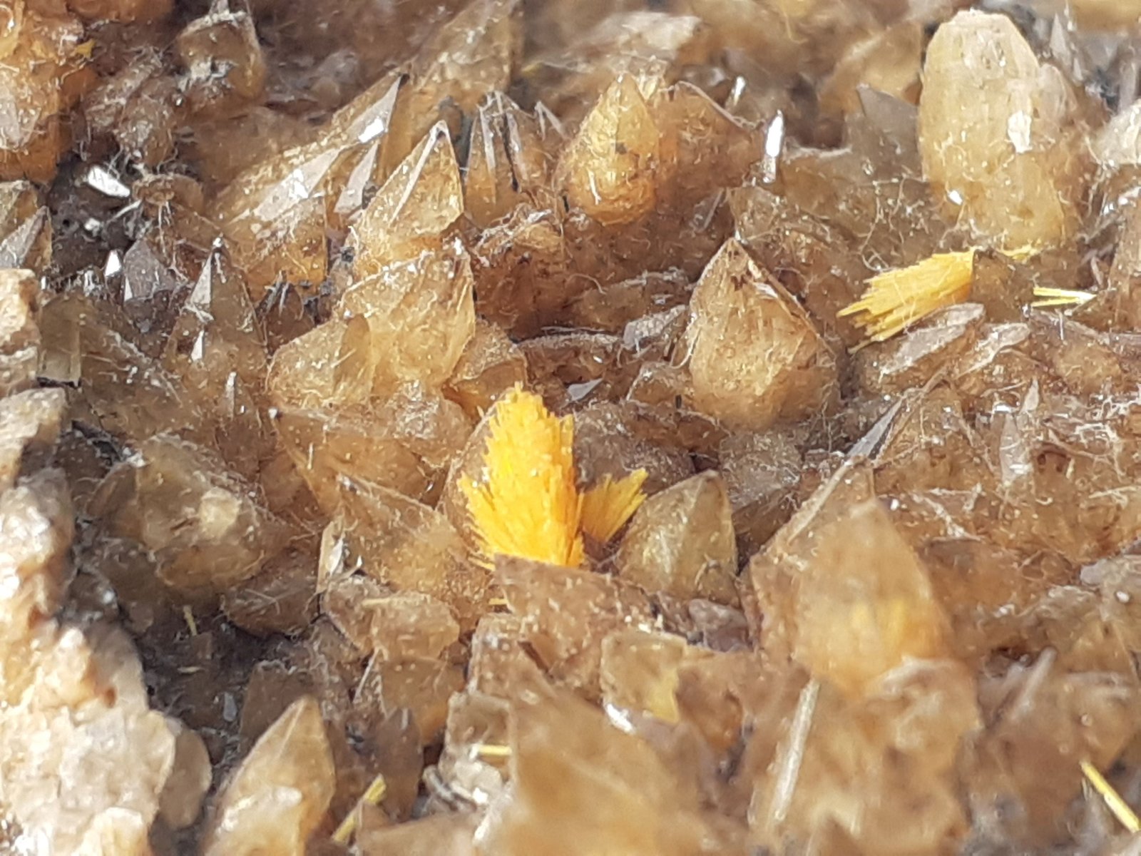 Boltwoodite, Calcite
6 x 5 cm
(Autor: Volkmar Stingl)