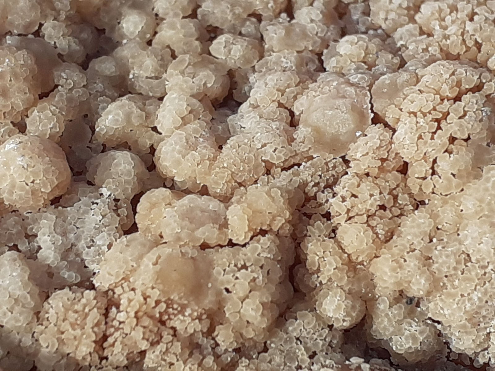 Calcite
7,5 x 6 cm
(Autor: Volkmar Stingl)