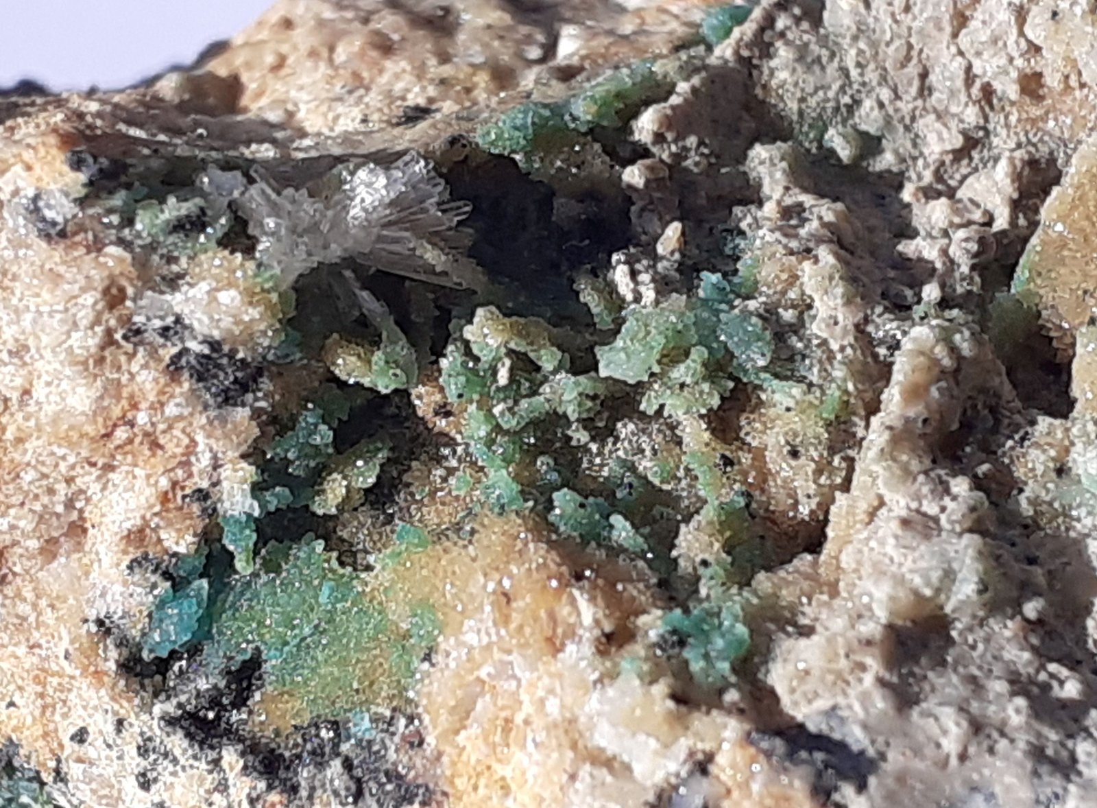 Adamite, Aragonite
5,5 x 4 cm
(Autor: Volkmar Stingl)