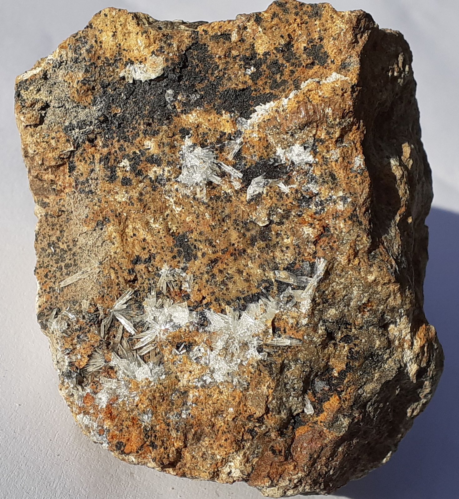Aragonite
5,5 x 4,5 cm
(Autor: Volkmar Stingl)