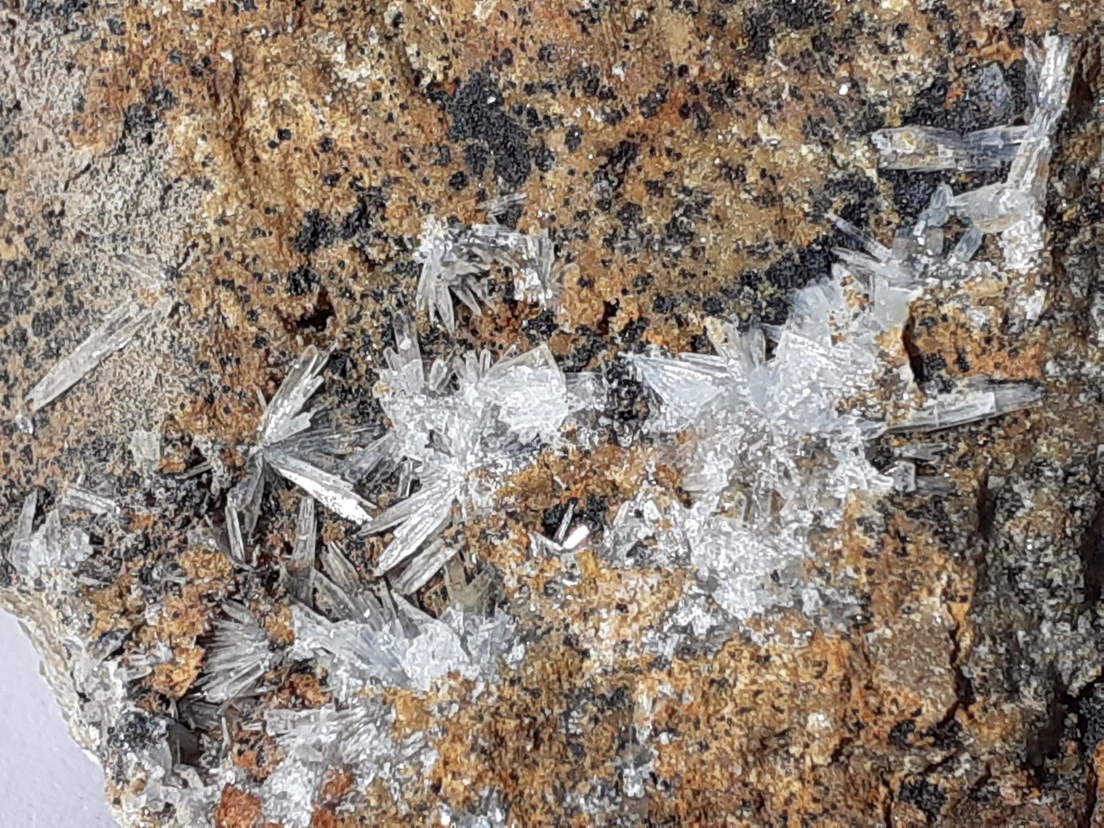 Aragonite
5,5 x 4,5 cm
(Autor: Volkmar Stingl)