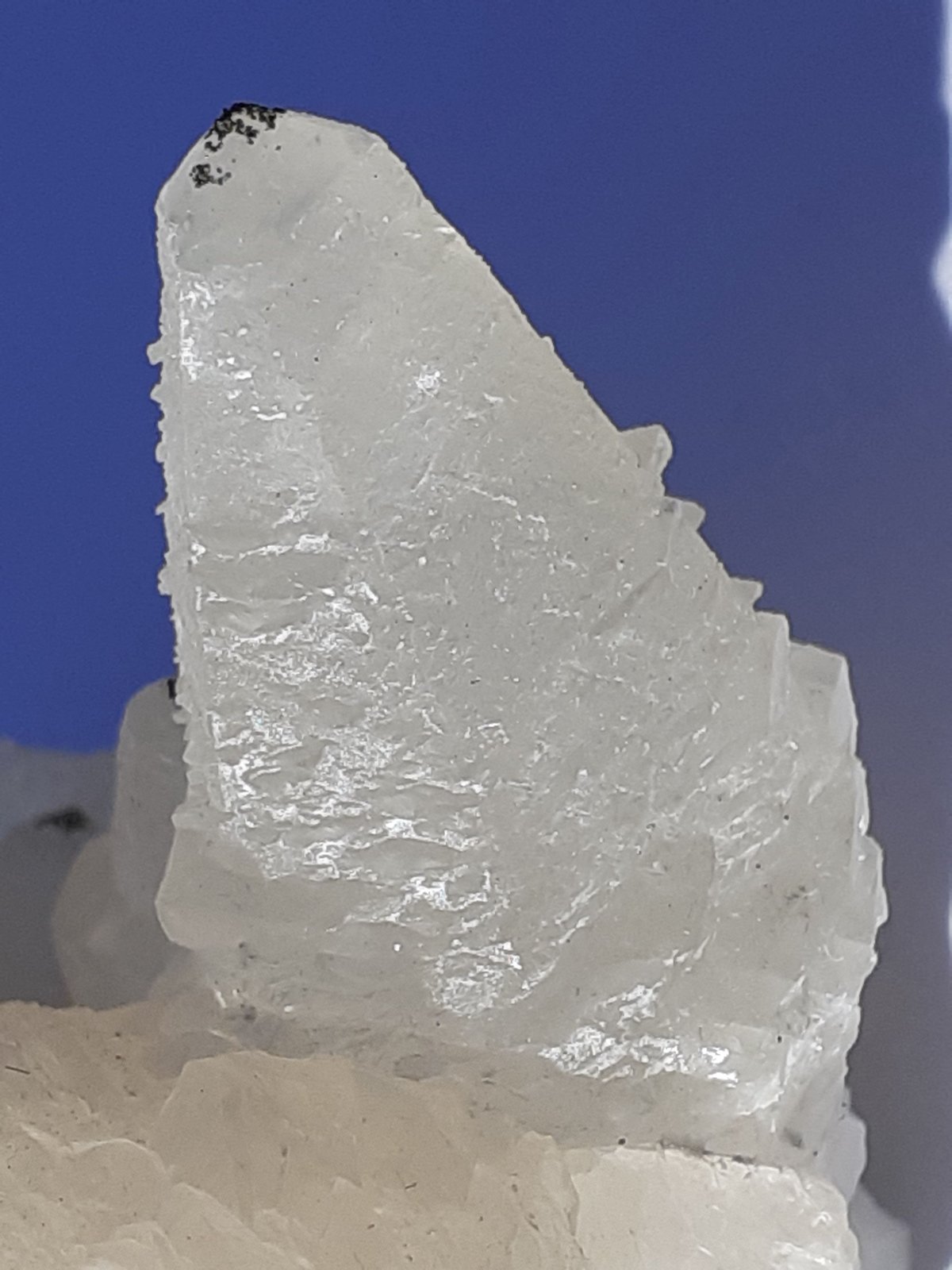 Calcite, Pyrite
xl 2 cm
(Autor: Volkmar Stingl)