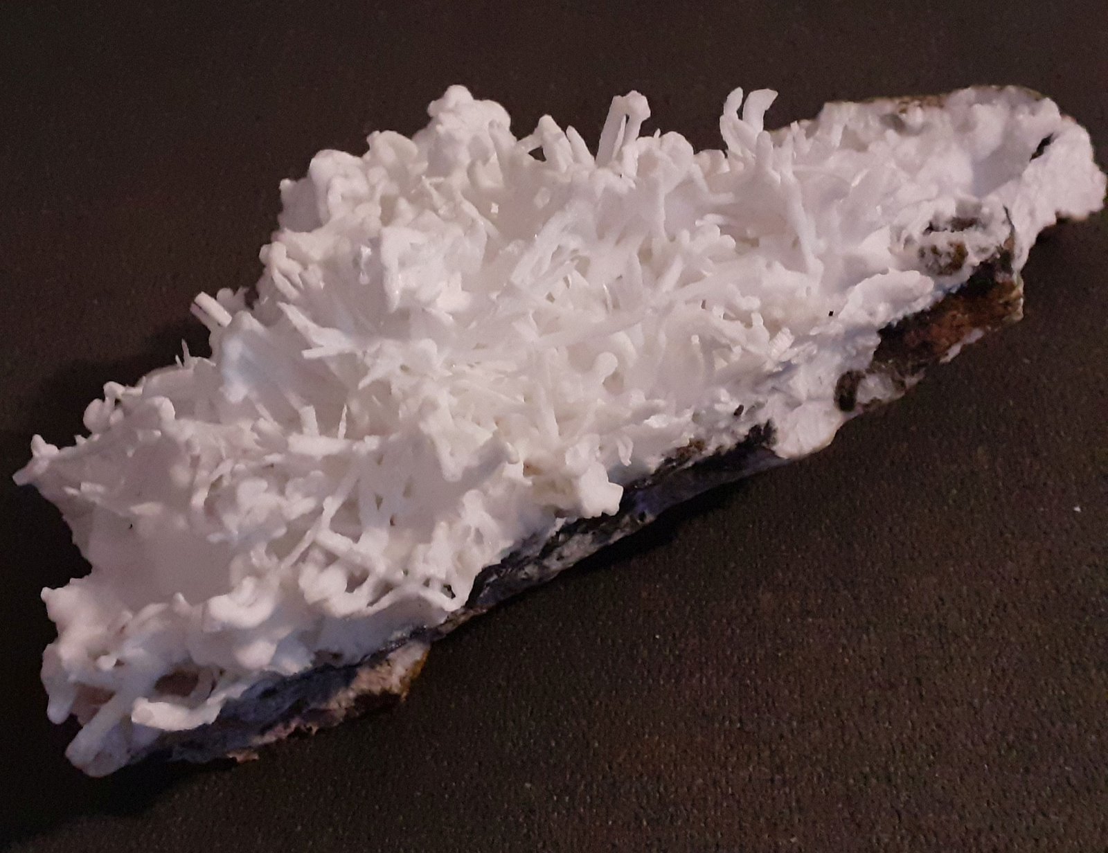 Aragonite (variety Flos Ferri)
17 x 8 cm
(Autor: Volkmar Stingl)