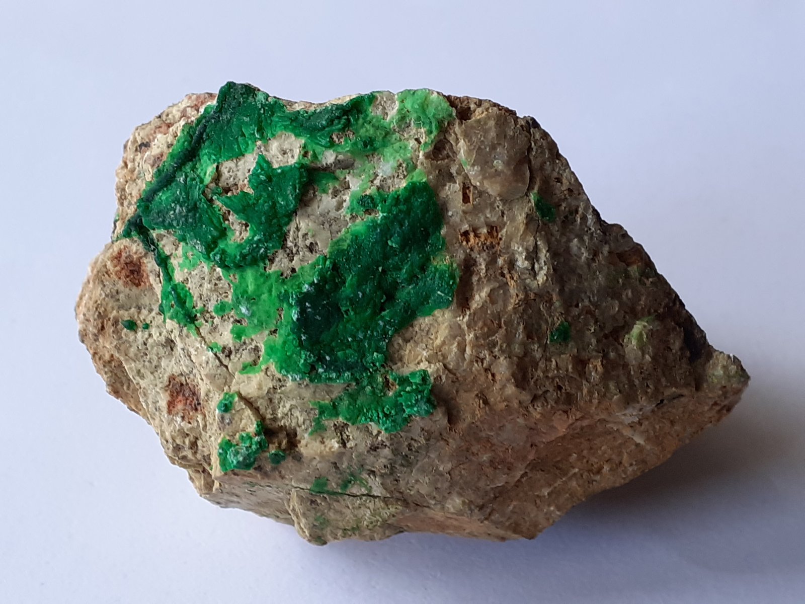 Conichalcite
4,5 x 3,5 cm
(Autor: Volkmar Stingl)