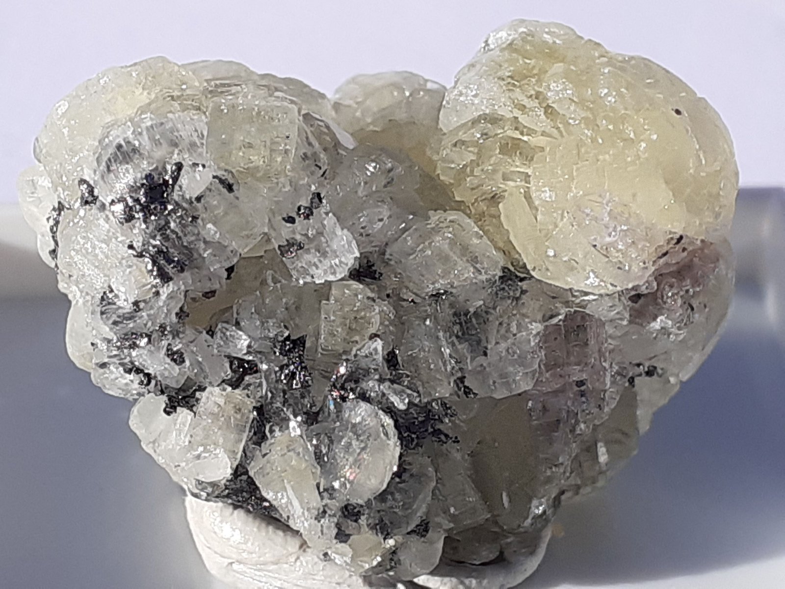 Prehnite, Graphite
2,5 x 1,5 cm
(Autor: Volkmar Stingl)