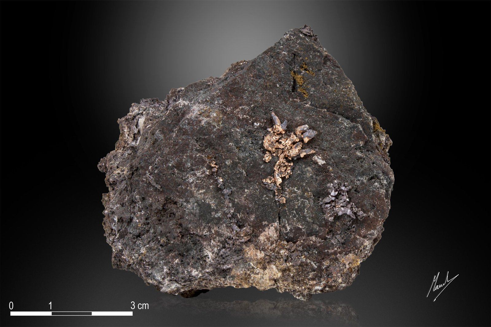 Copper
70 x 65 mm
(Autor: Manuel Mesa)