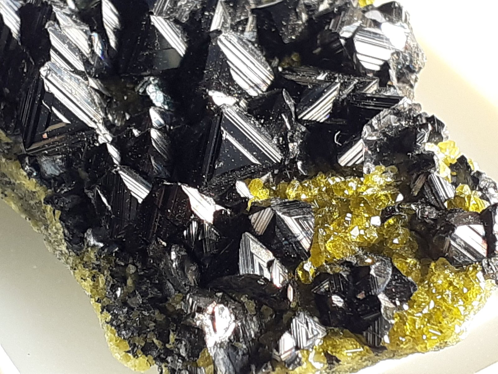 Magnetite, Epidote
2,5 x 2 cm
(Autor: Volkmar Stingl)