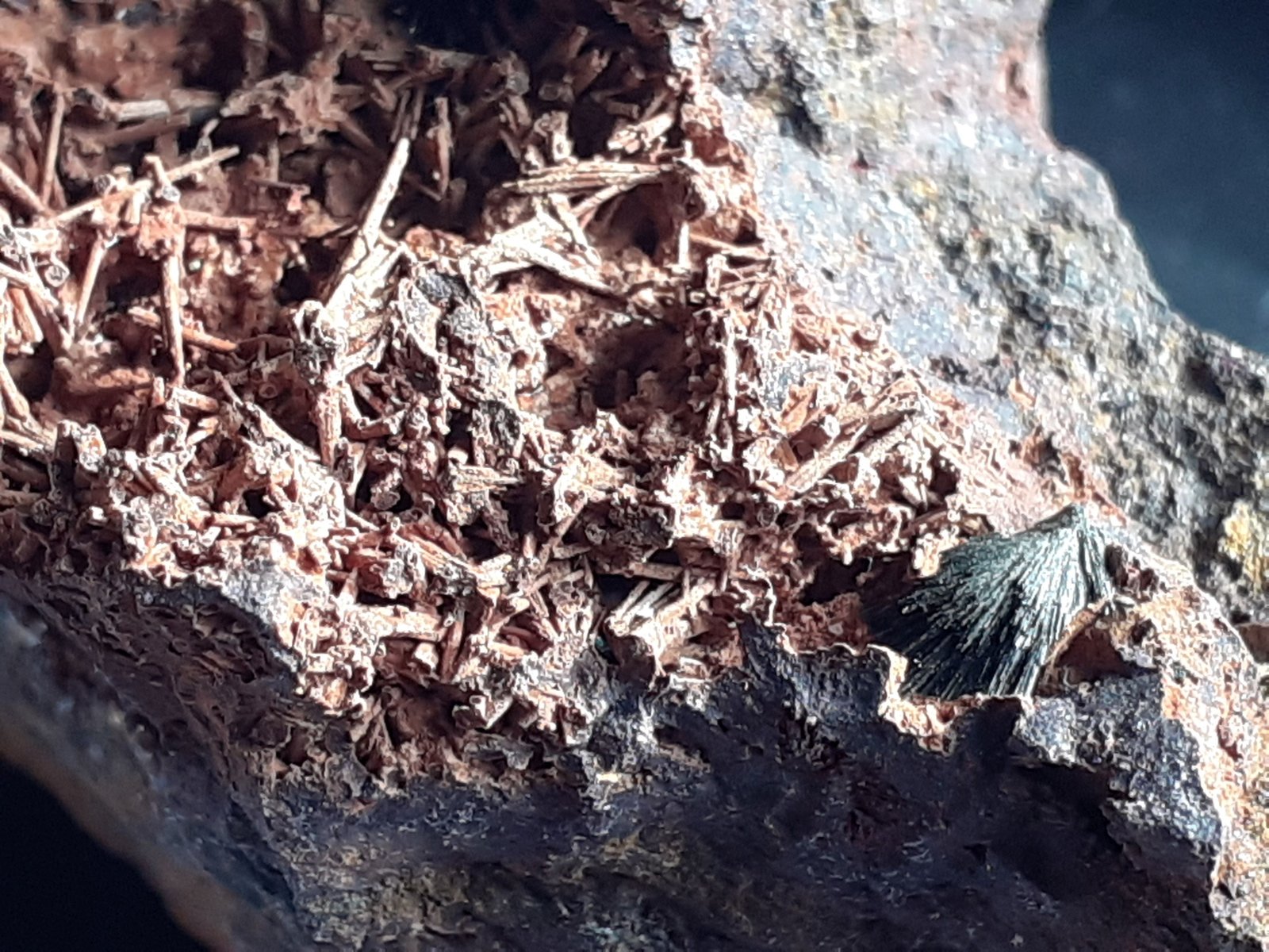 Parasymplesite
5 x 2,5 cm
(Autor: Volkmar Stingl)