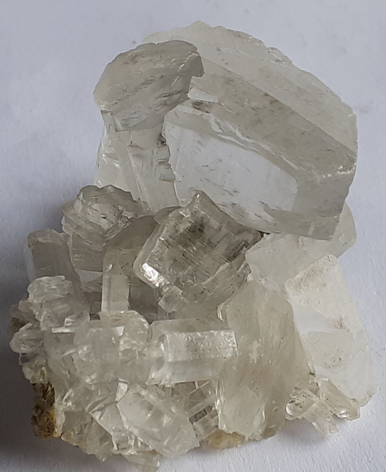 Gypsum variety Selenite
6 x 4 cm
(Autor: Volkmar Stingl)