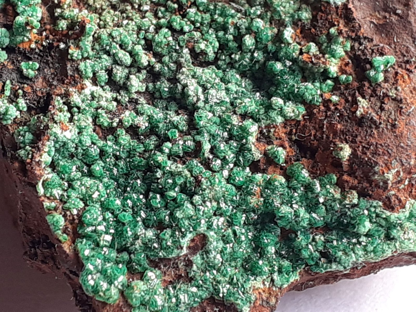 Olivenite
3,5 x 3,5 cm
(Autor: Volkmar Stingl)