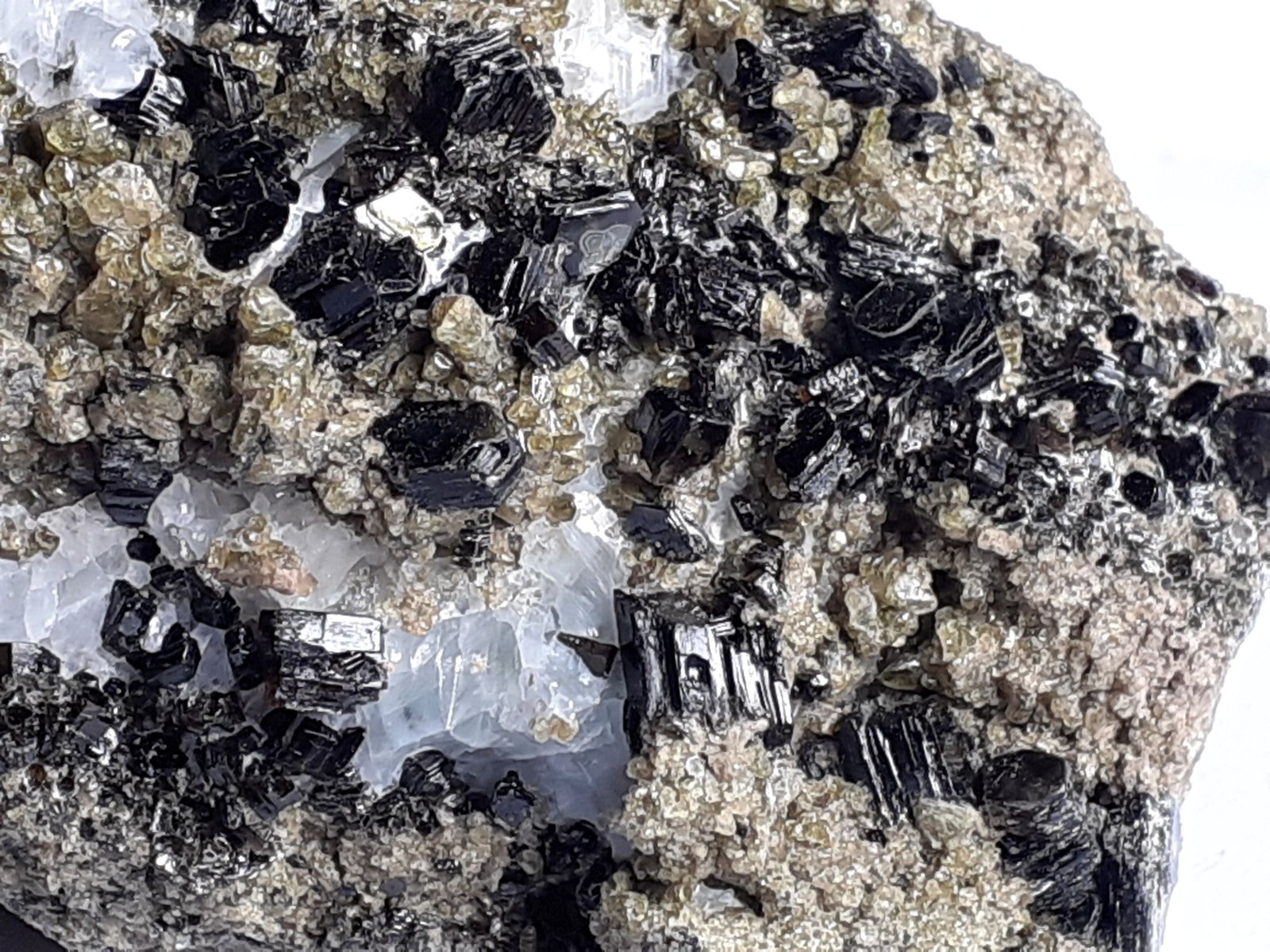 Augite (variety fassaite), Phlogopite
6,5 x 4 cm
(Autor: Volkmar Stingl)