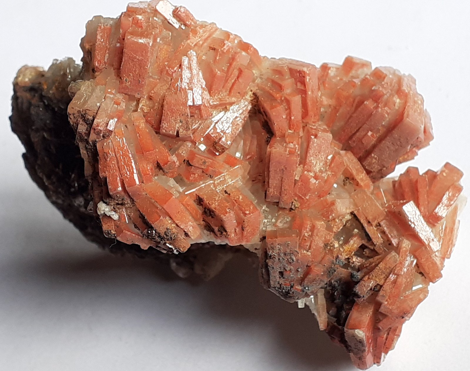 Barite
5 x 5 cm
(Autor: Volkmar Stingl)