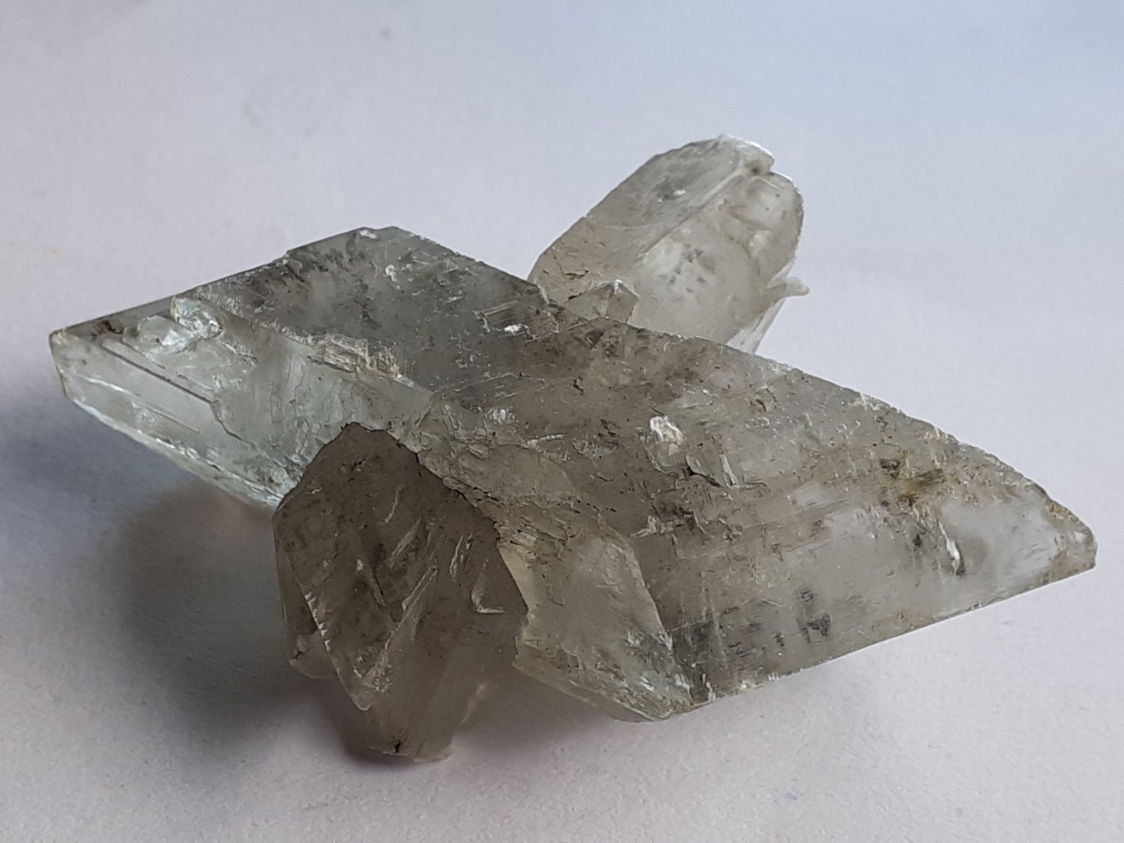 Gypsum (variety selenite)
4,5 x 3 cm
(Autor: Volkmar Stingl)