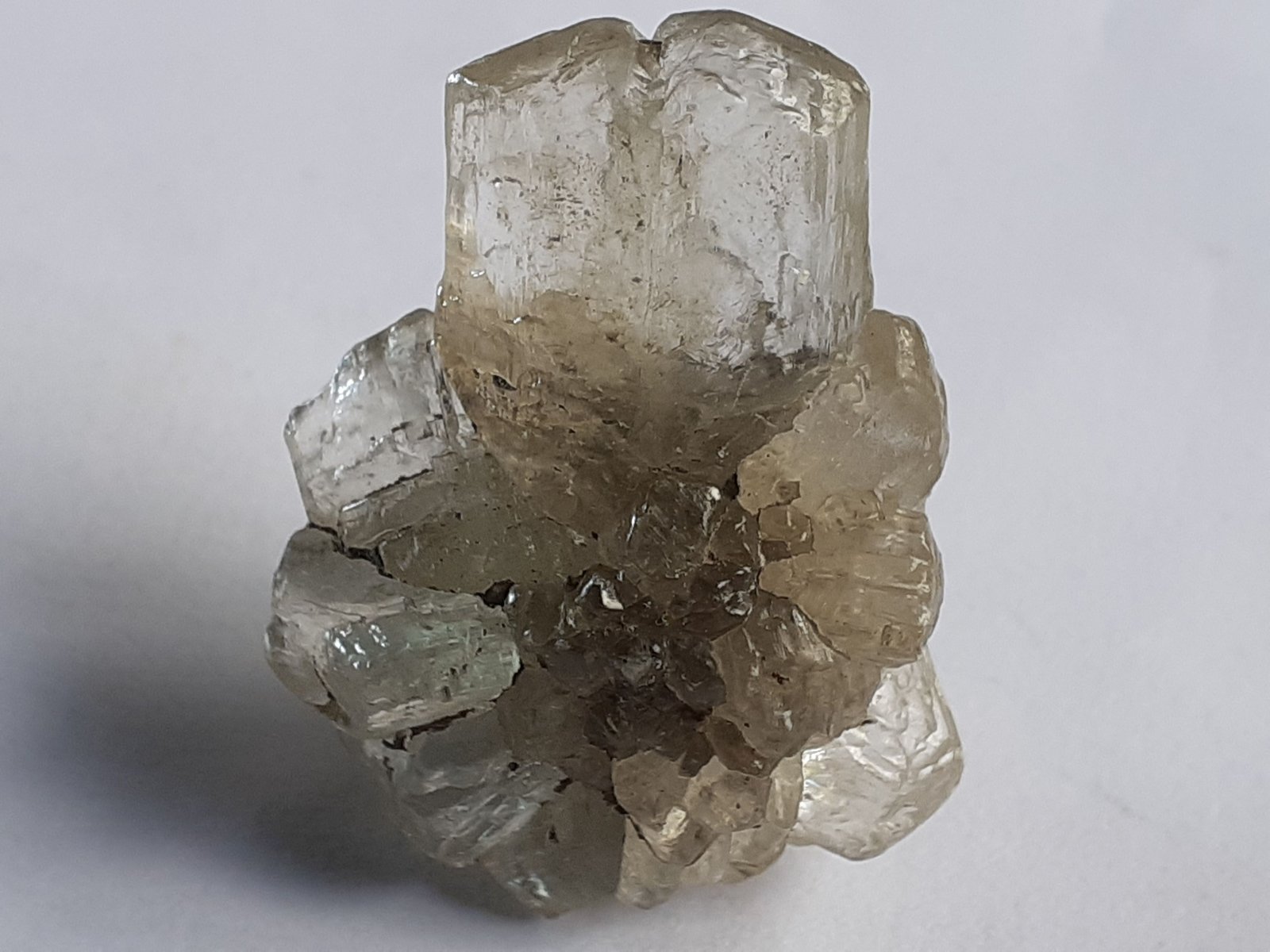 Gypsum (variety selenite)
3,3 x 2,5 cm
(Autor: Volkmar Stingl)