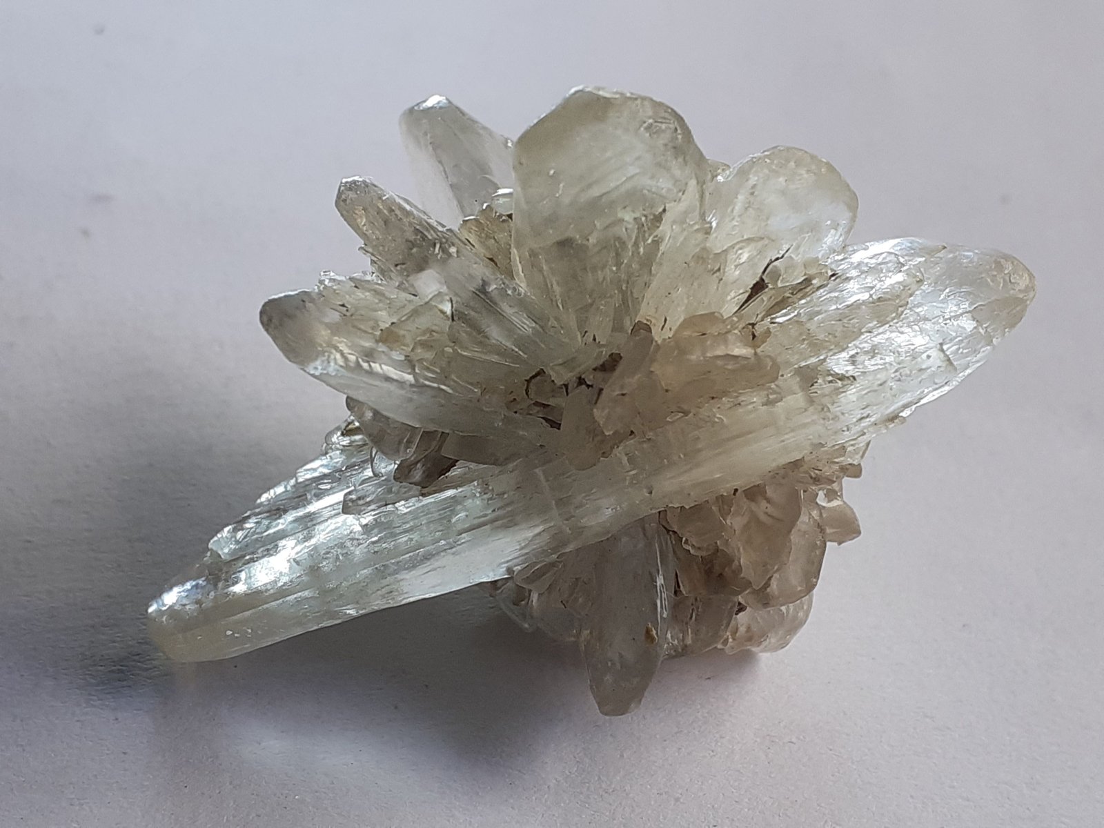 Gypsum (variety selenite)
4,5 x 3,5 cm
(Autor: Volkmar Stingl)
