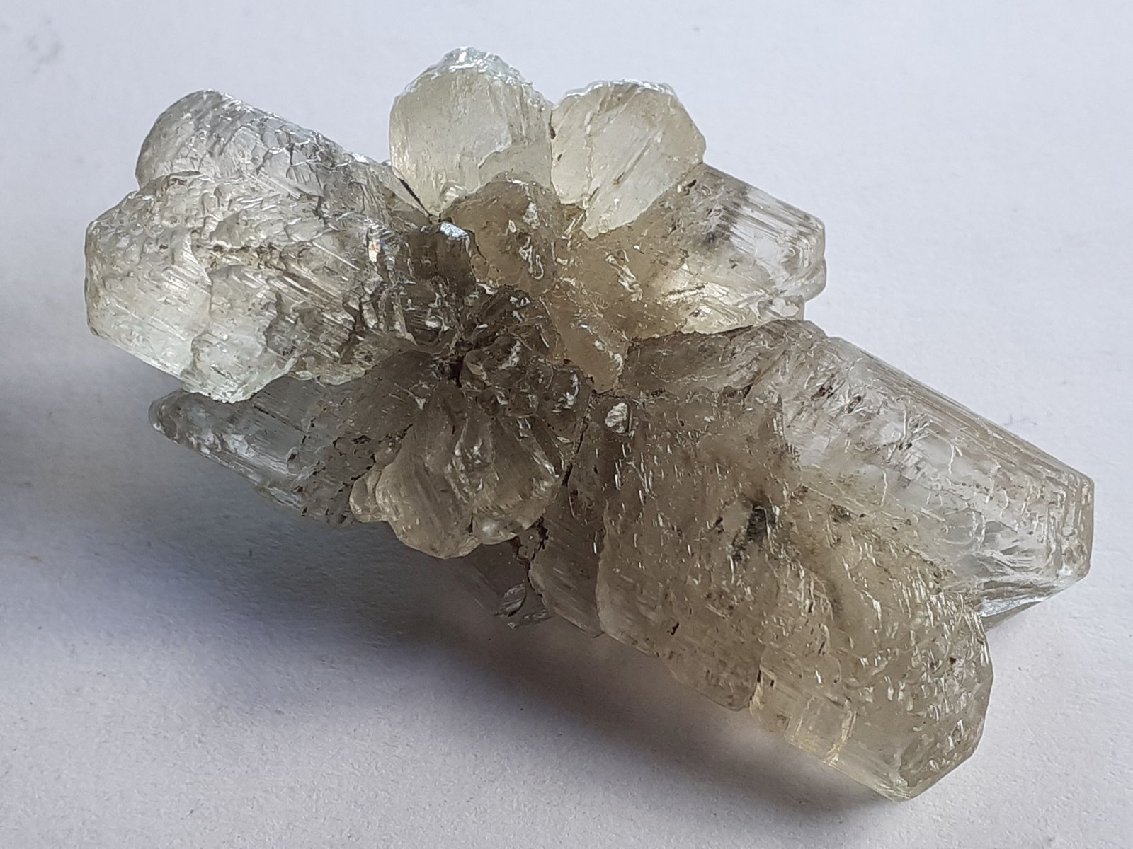 Gypsum (variety selenite)
4,5 x 2,5 cm
(Autor: Volkmar Stingl)