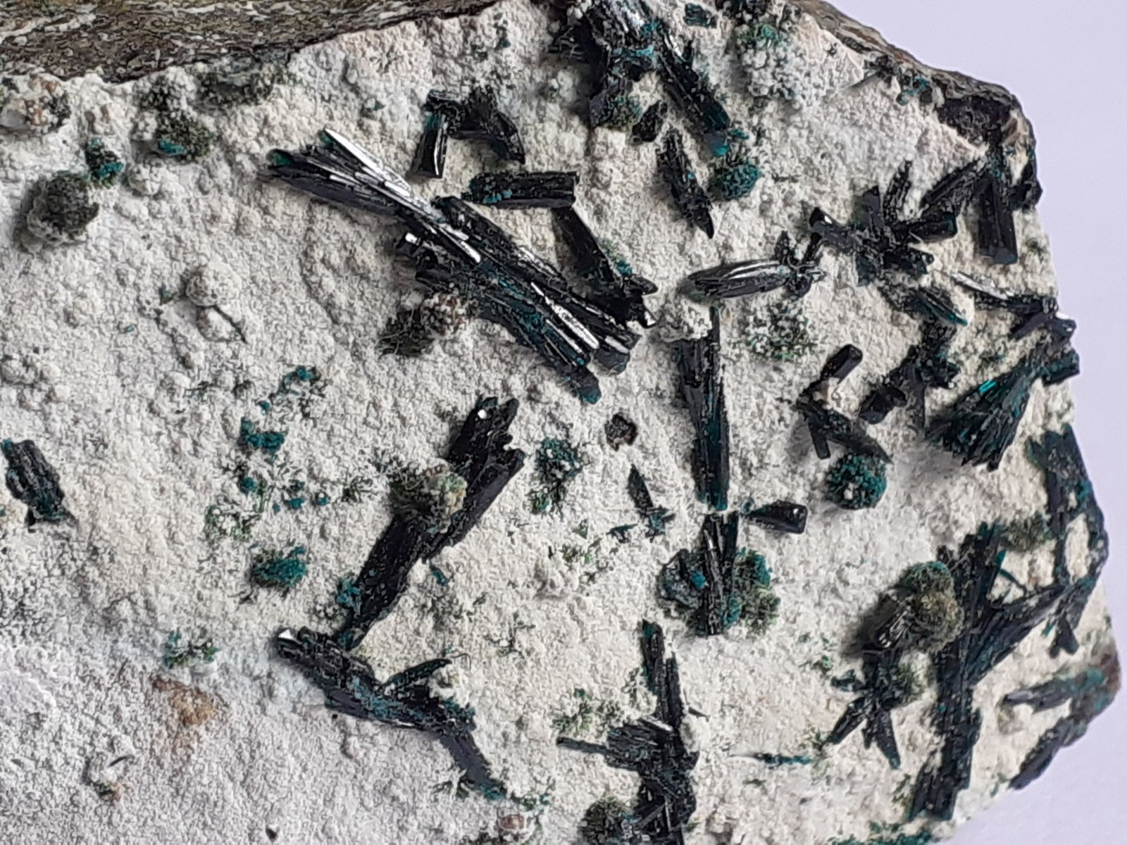 Atacamite, Halloysite
9 x 3,5 cm
(Autor: Volkmar Stingl)