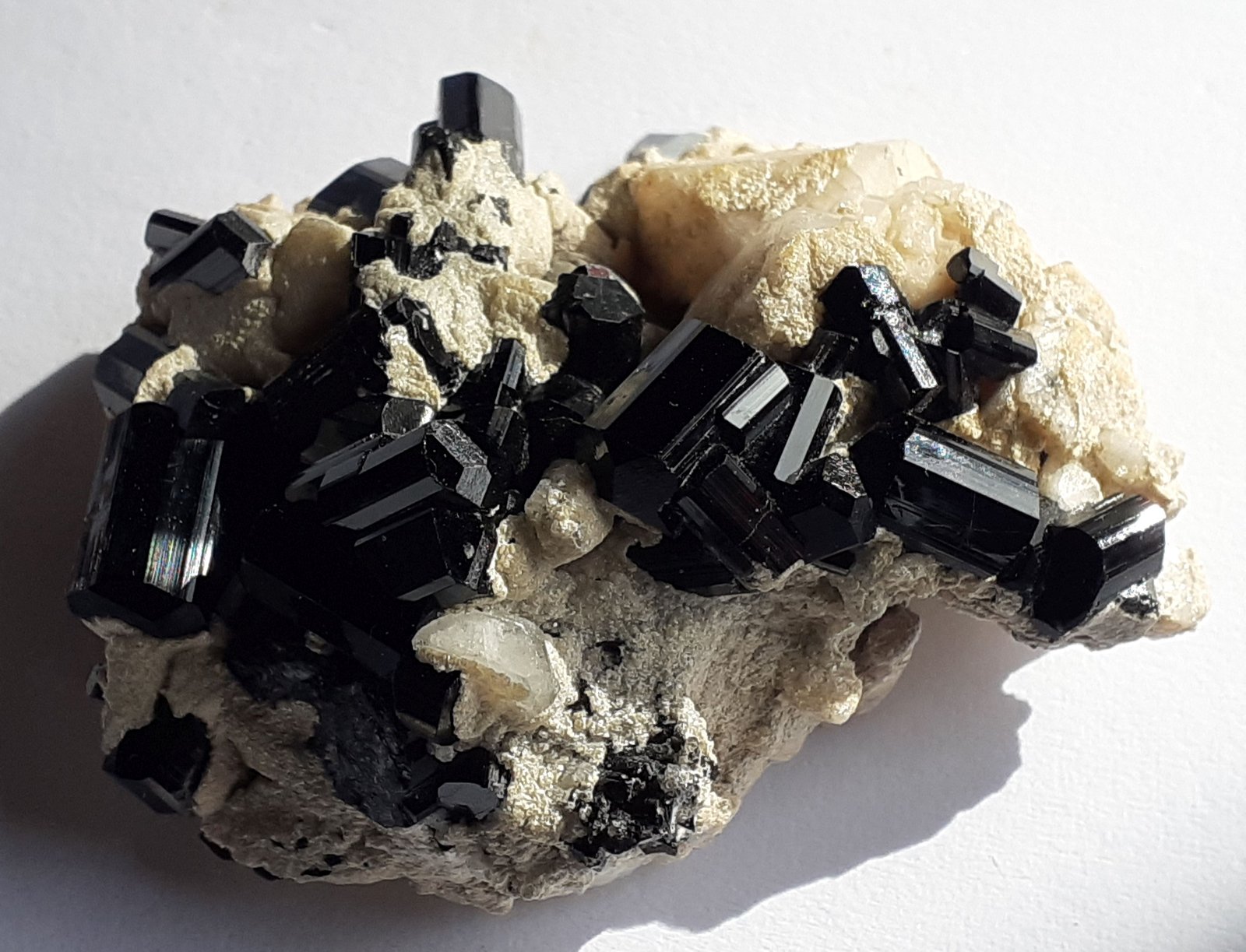 Tourmaline (variety Schorl)
4,5 x 3,5 cm
(Autor: Volkmar Stingl)