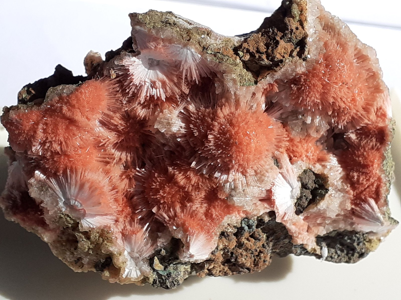 Mesolite on Thomsonite
5 x 4 cm
(Autor: Volkmar Stingl)