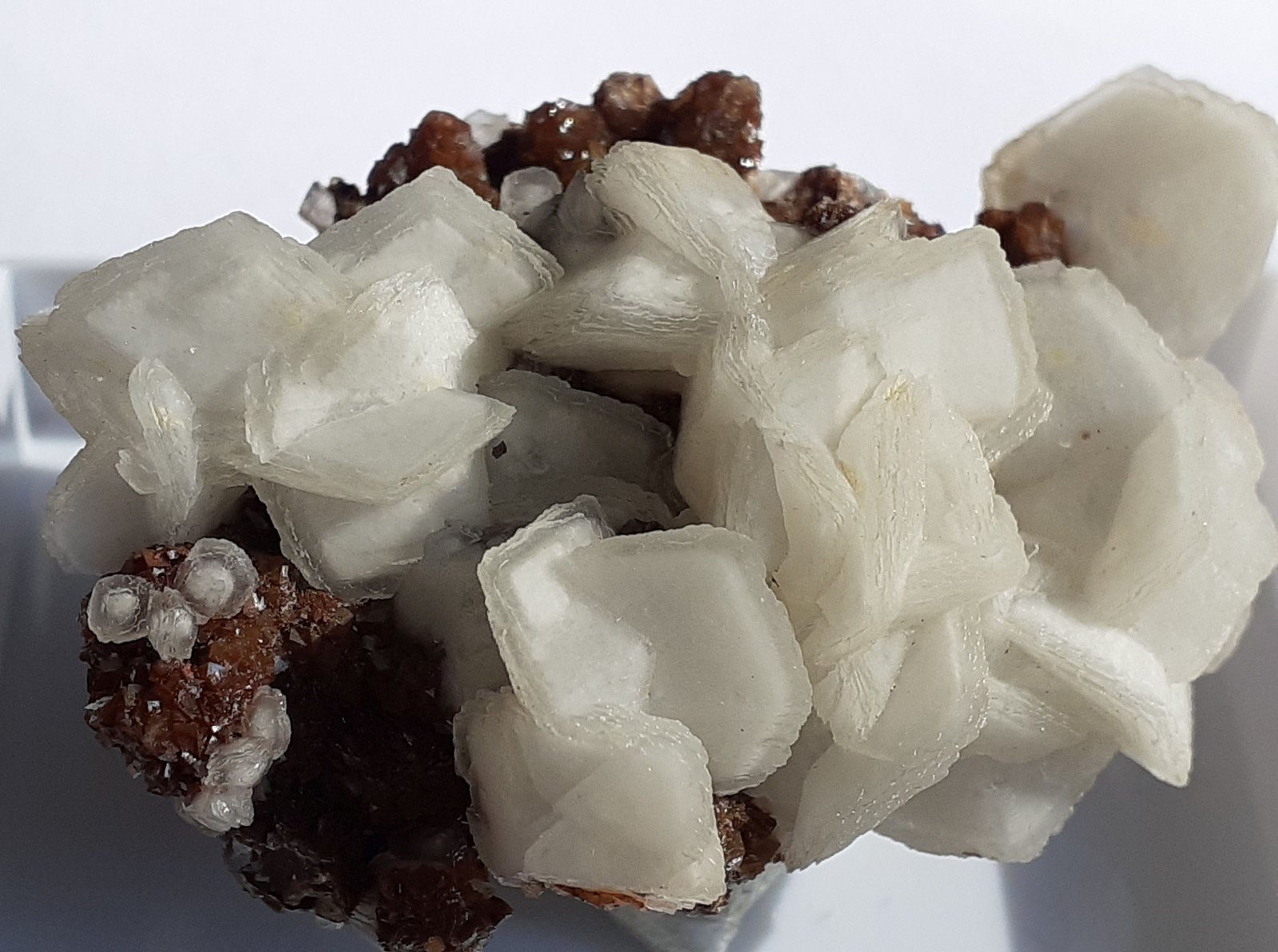 Calcite, Siderite, Goethite
5 x 3,5 cm
(Autor: Volkmar Stingl)
