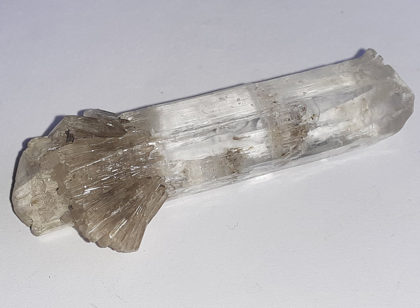 Gypsum (variety selenite)
5,5 x 1,5 cm
(Autor: Volkmar Stingl)