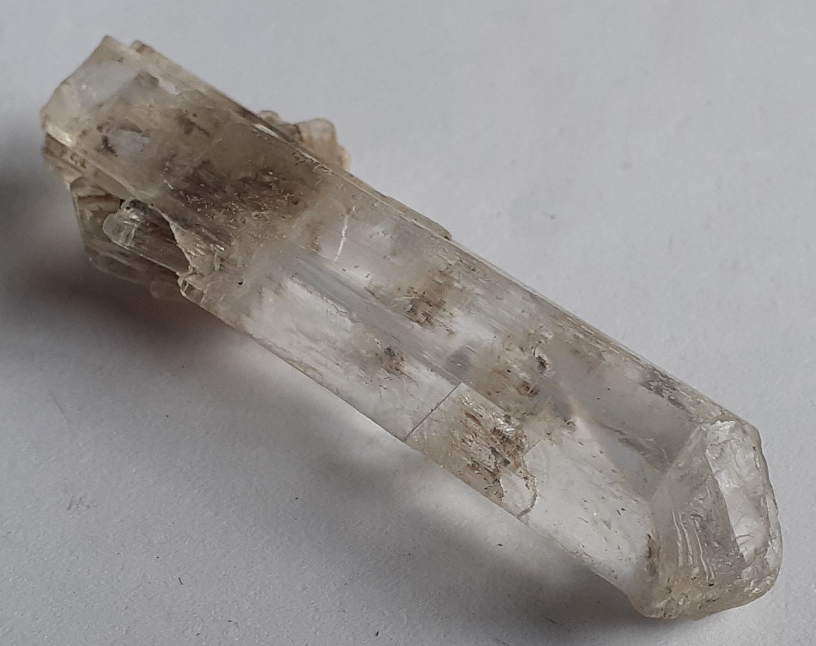 Gypsum (variety selenite)
5,5 x 1,5 cm
(Autor: Volkmar Stingl)