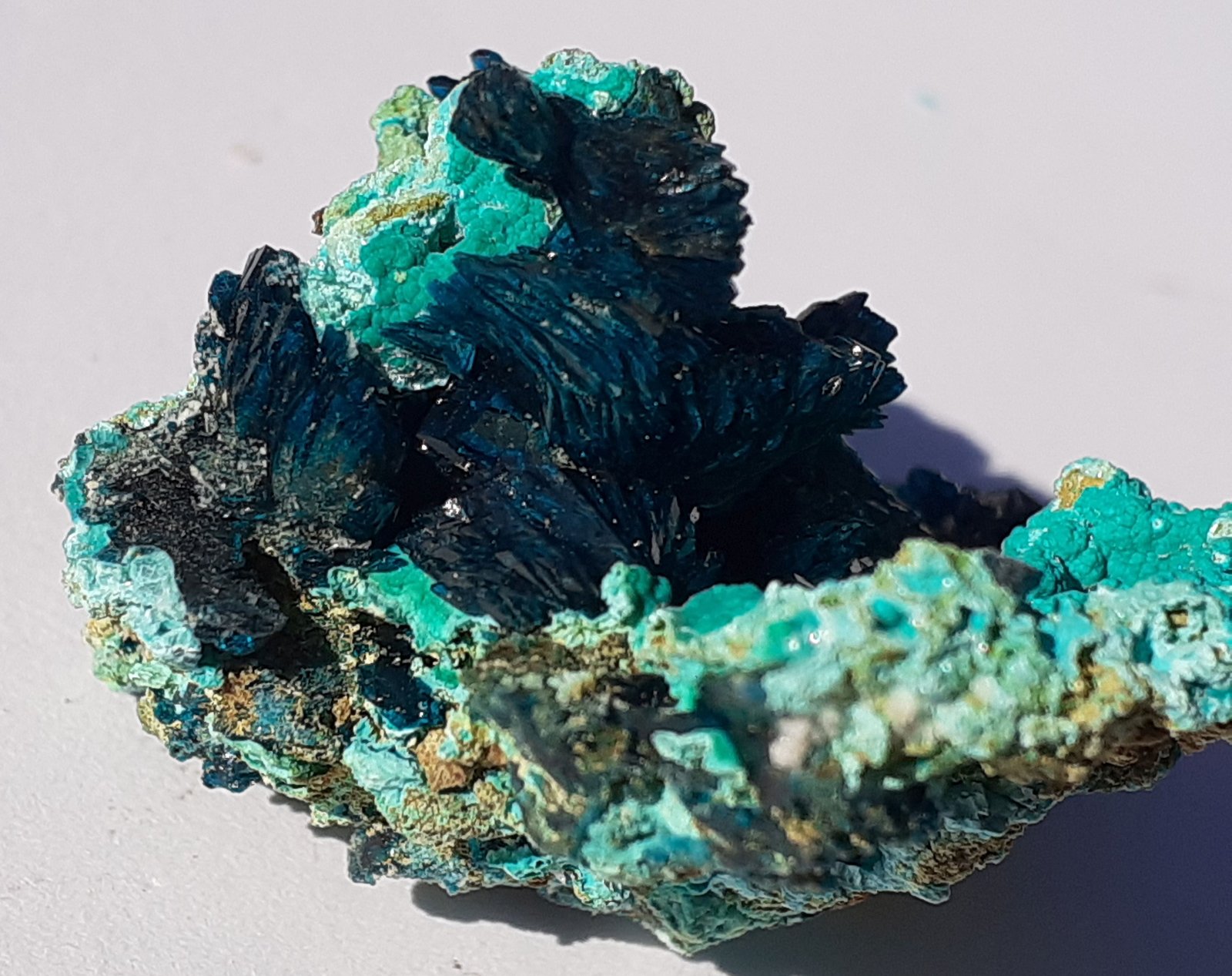 Theisite, Veszelyite
3 x 2,5 cm
(Autor: Volkmar Stingl)
