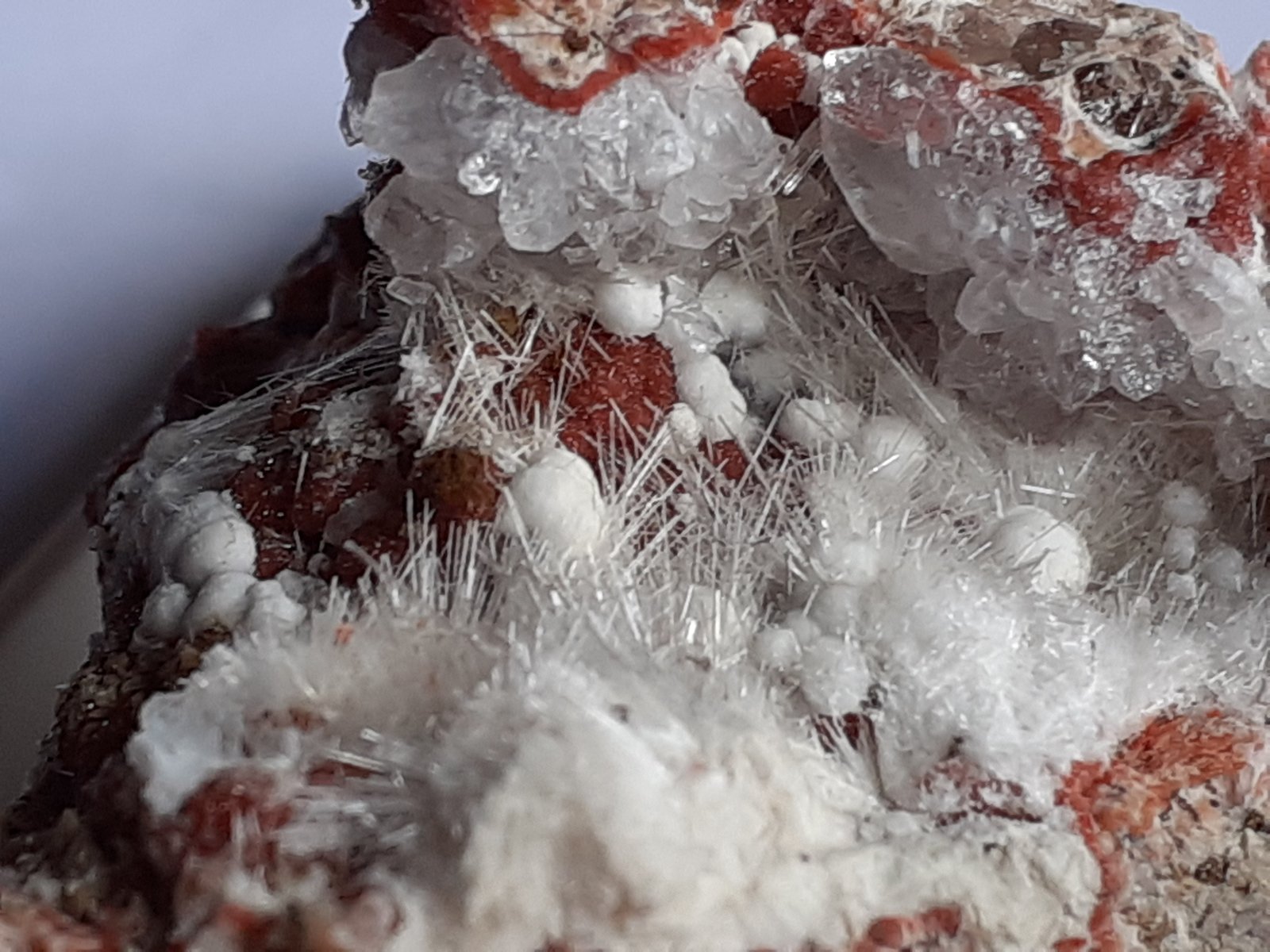 Dawsonite, Nordstrandite, Quartz
3,5 x 3 cm
(Autor: Volkmar Stingl)