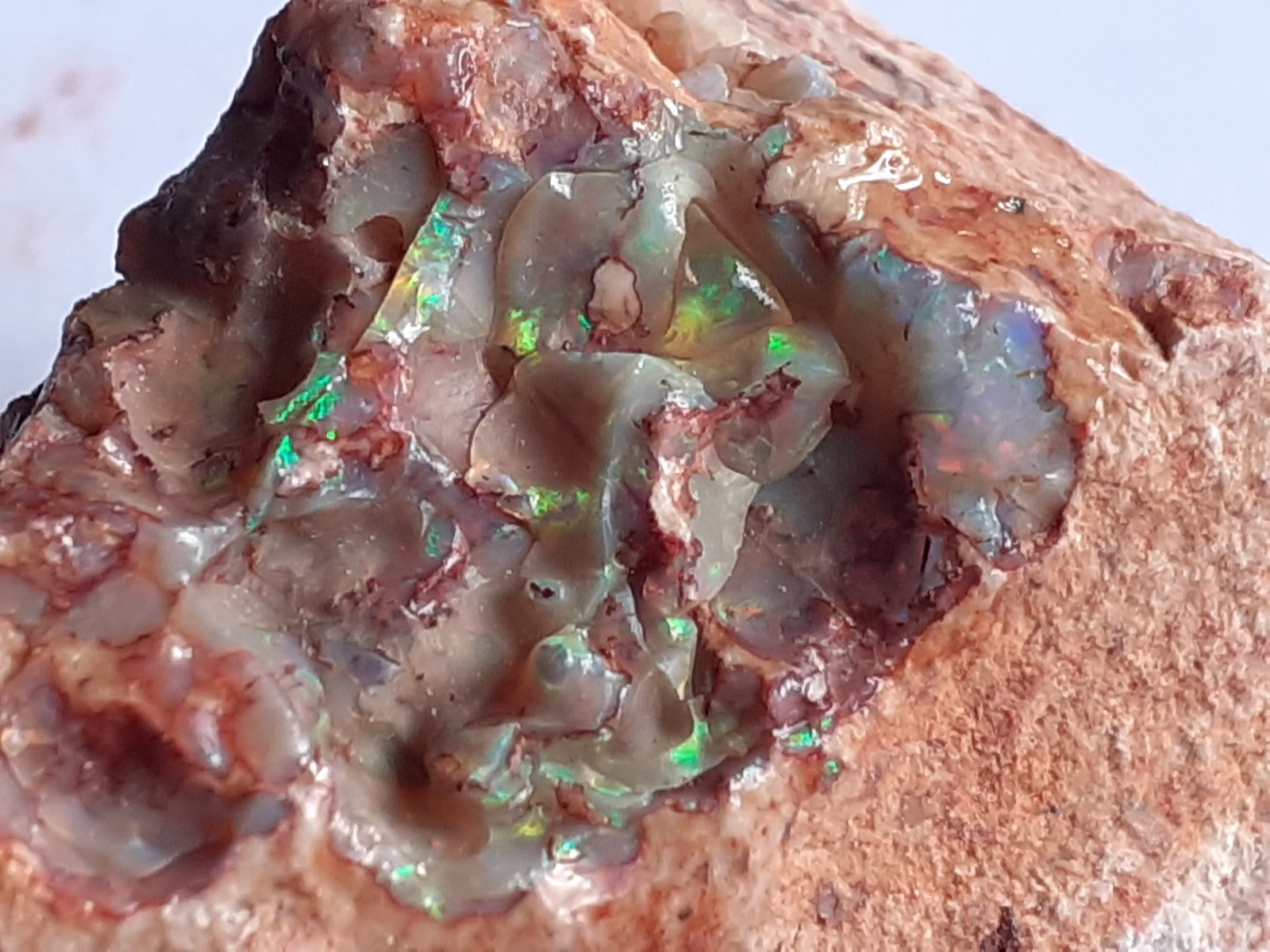 Opal
FoV 2,5 x 2 cm
(Autor: Volkmar Stingl)