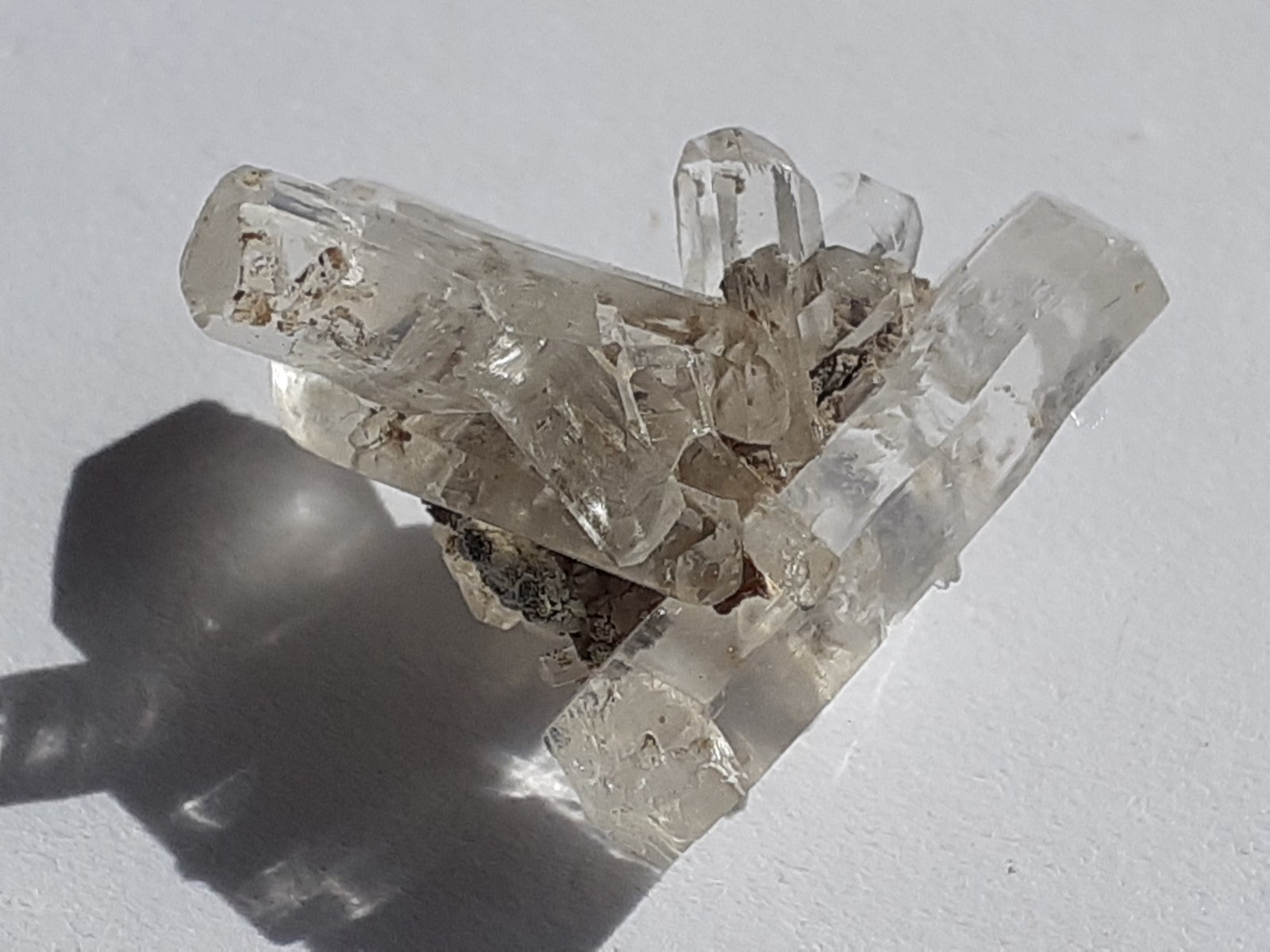 Gypsum (variety selenite)
1,5 x 1,5 cm
(Autor: Volkmar Stingl)