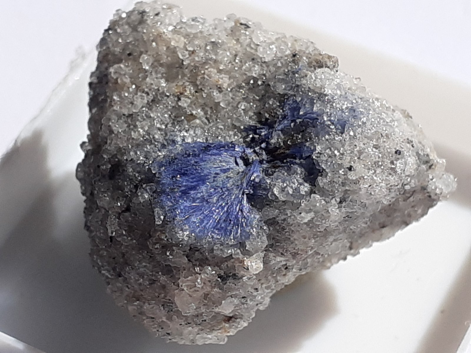 Dumortierite
2 x 1,5 cm
(Autor: Volkmar Stingl)