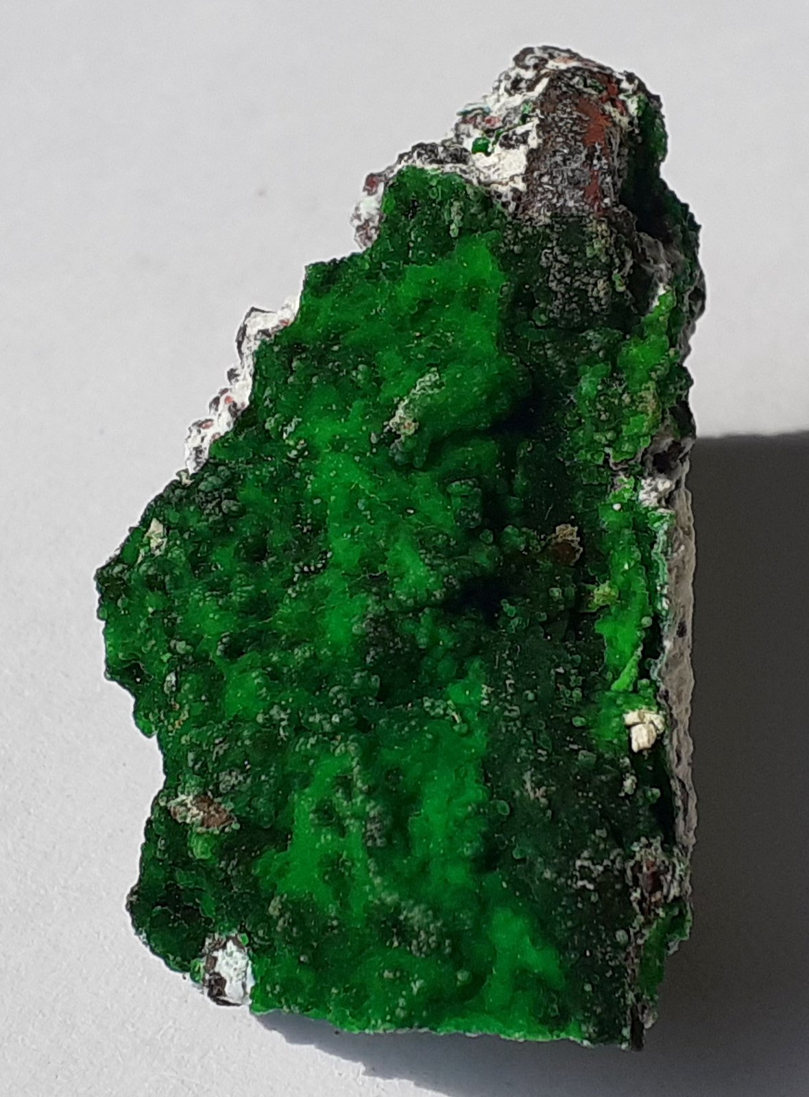 Conichalcite
4 x 2 cm
(Autor: Volkmar Stingl)