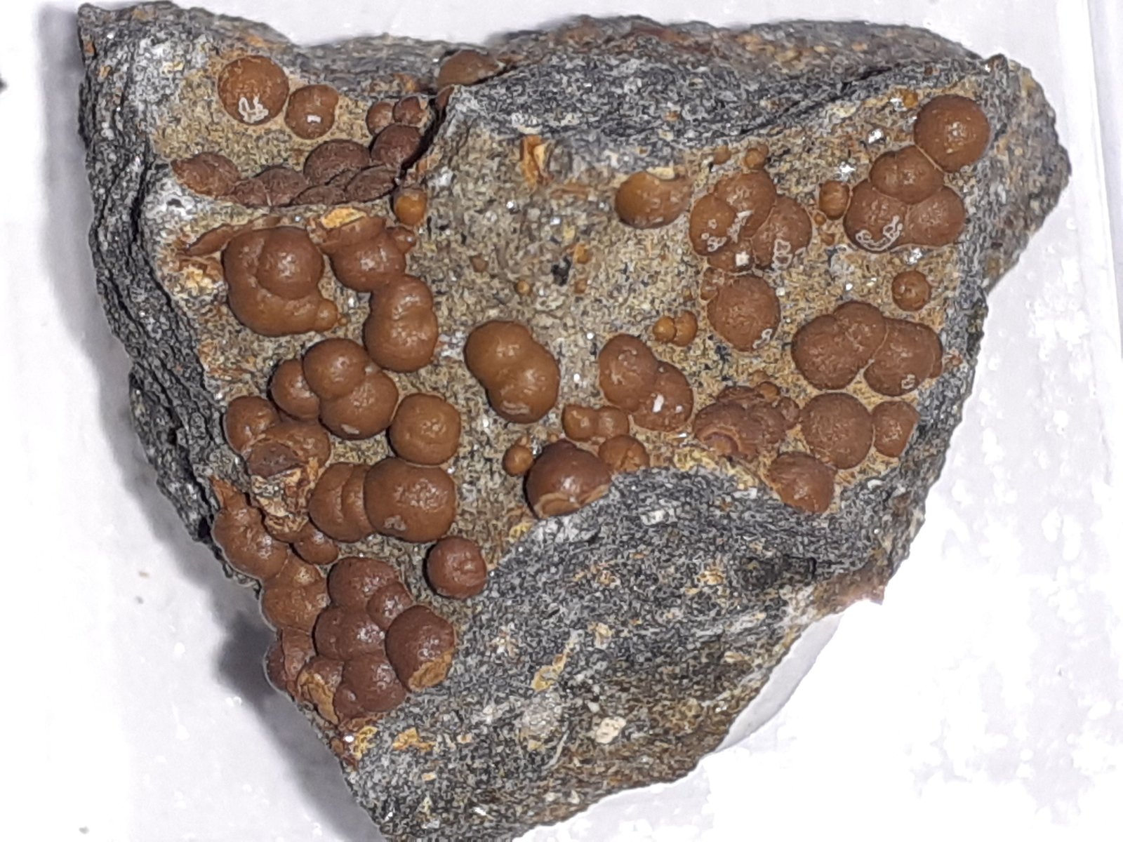 Siderite (variety sphärosiderite)
2 x 1,5 cm
(Autor: Volkmar Stingl)