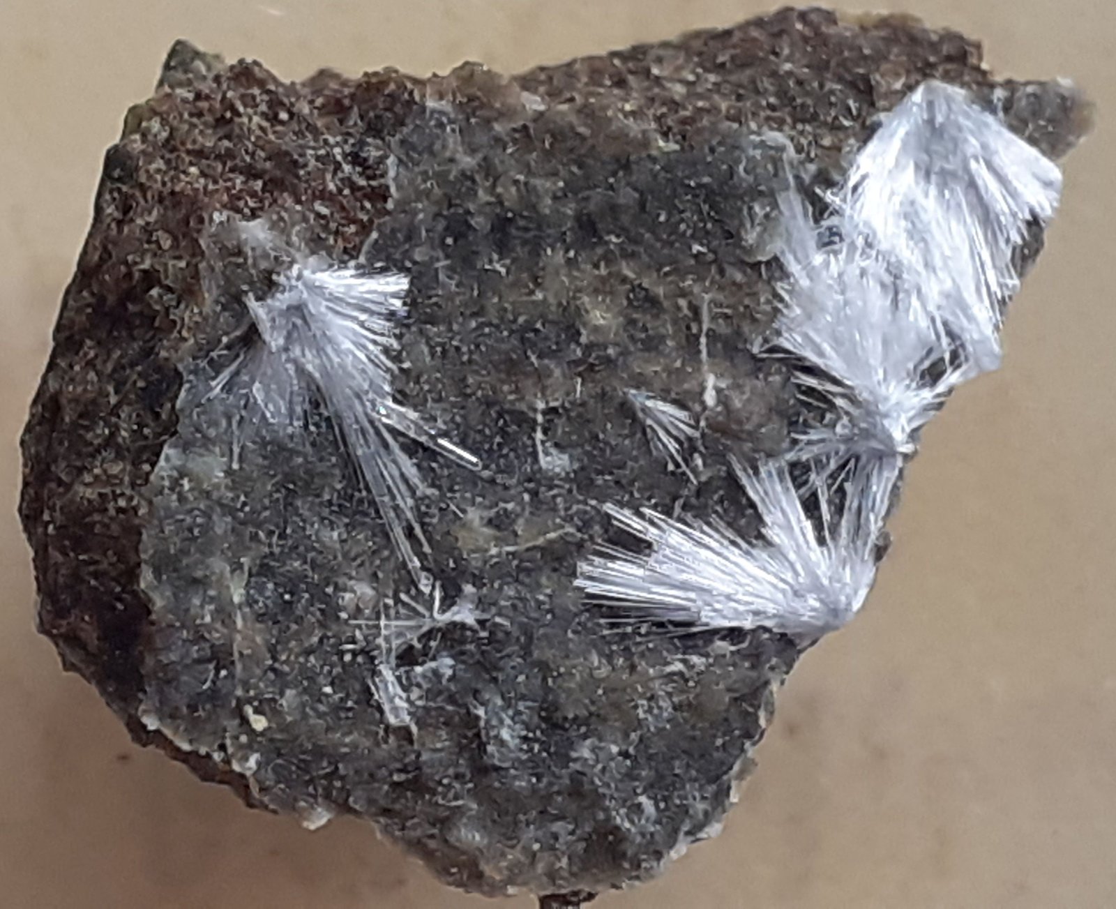 Artinite
1,5 x 1 cm
(Autor: Volkmar Stingl)