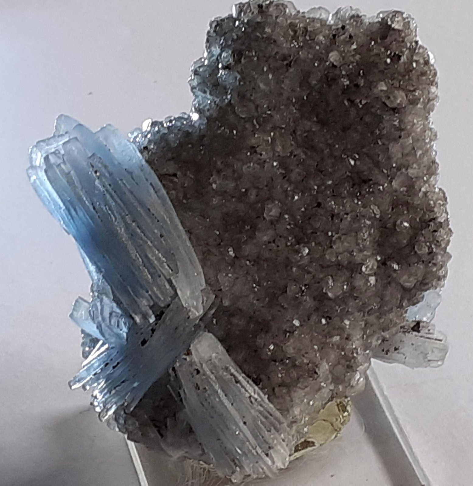 Baryte, Calcite
6,5 x 6 cm
(Autor: Volkmar Stingl)