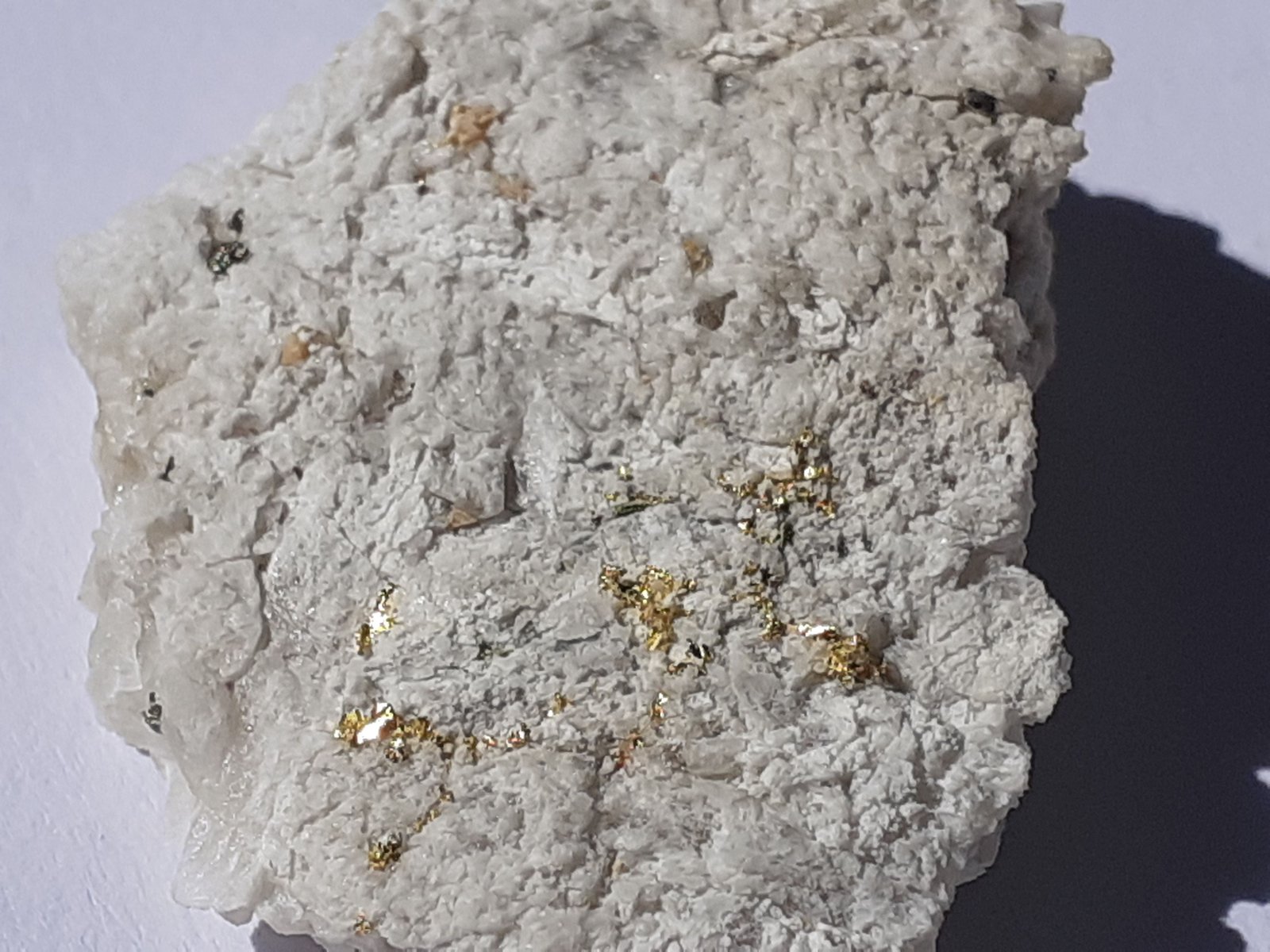 Gold
3 x 2,3 cm
(Autor: Volkmar Stingl)