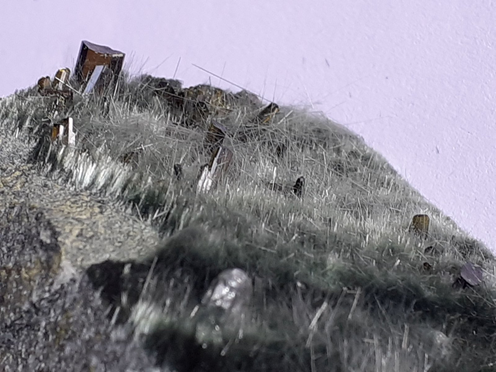 Apatite, Actinolite (variety byssolite), Epidote
6,5 x 3 cm
(Autor: Volkmar Stingl)