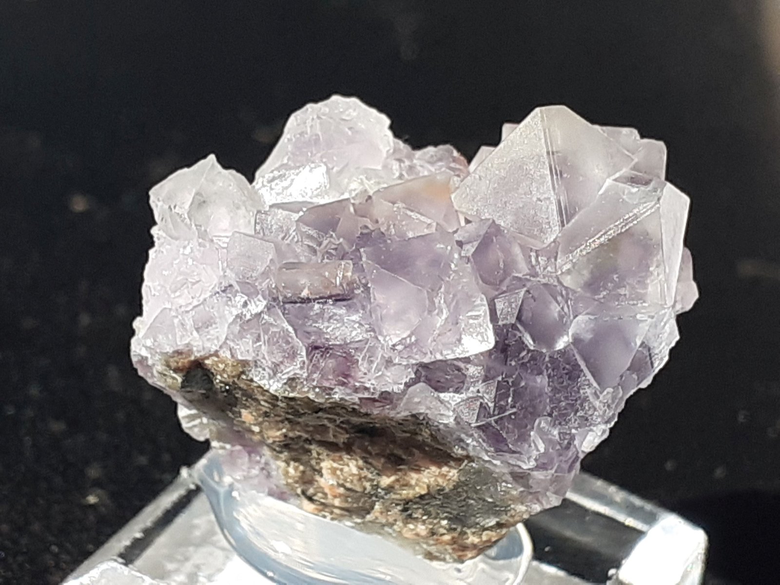 Fluorite
2 x 1,5 cm
(Autor: Volkmar Stingl)