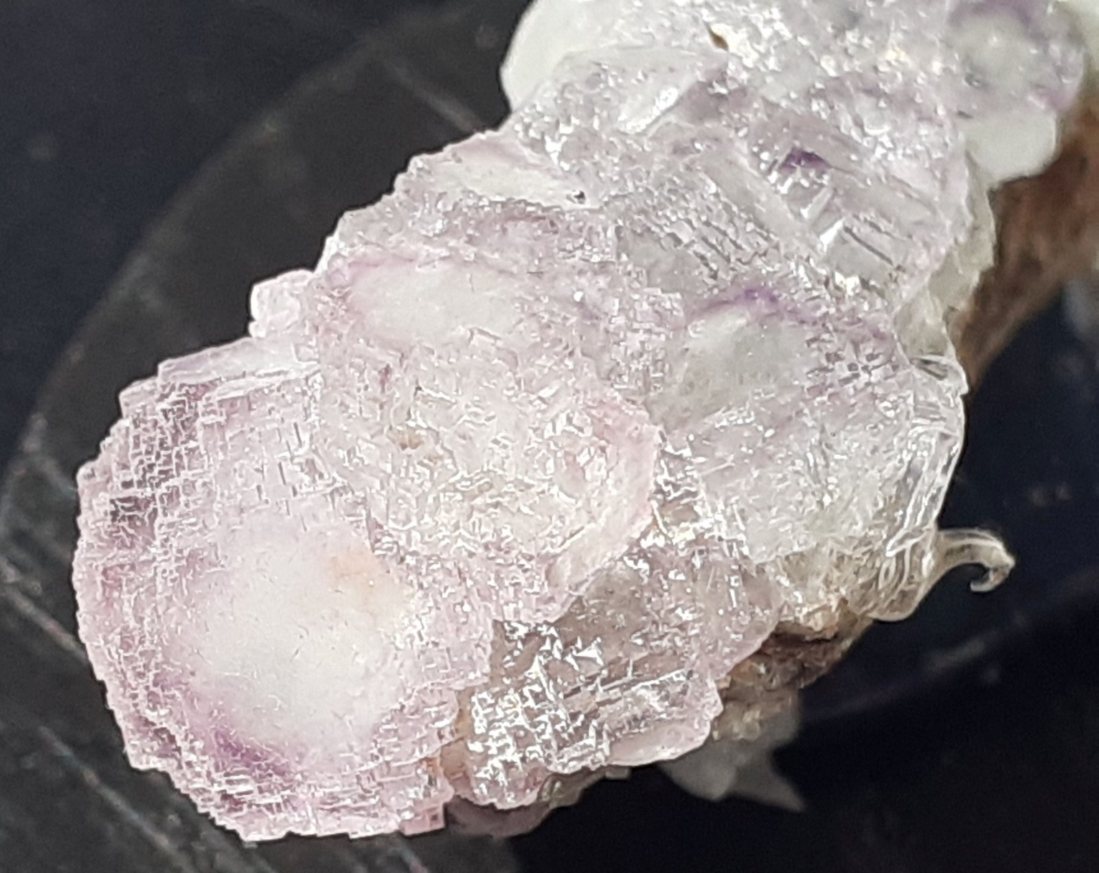 Fluorite
4,5 x 2 cm
(Autor: Volkmar Stingl)